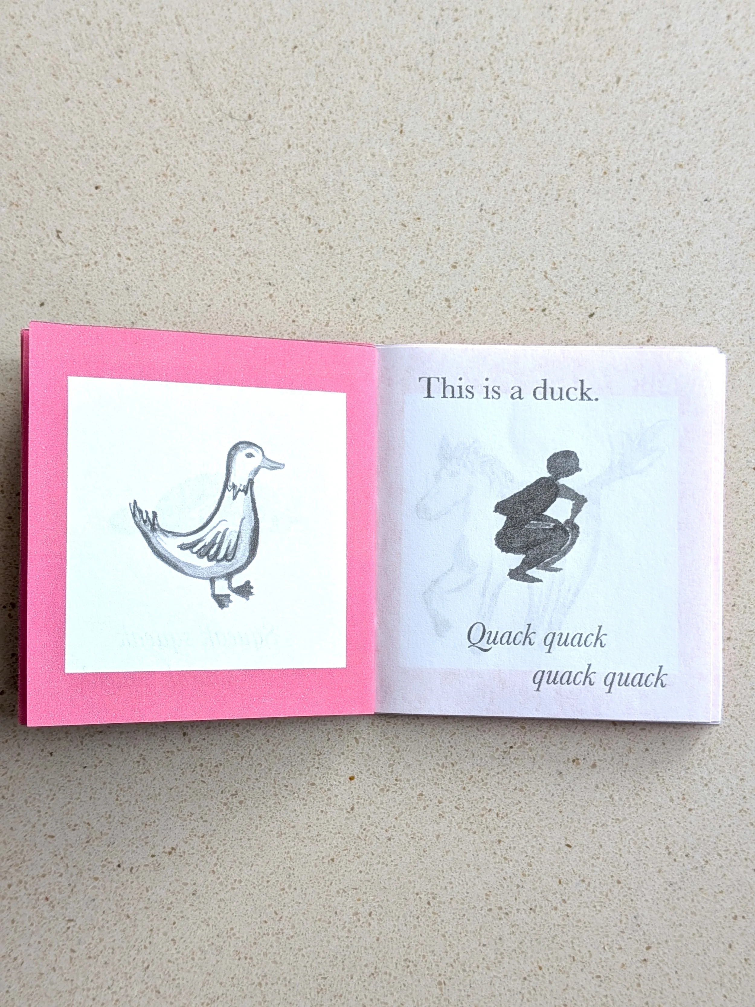 farm int duck.jpg