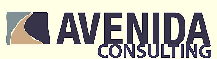 avenidaconsultinglogoweb.jpg