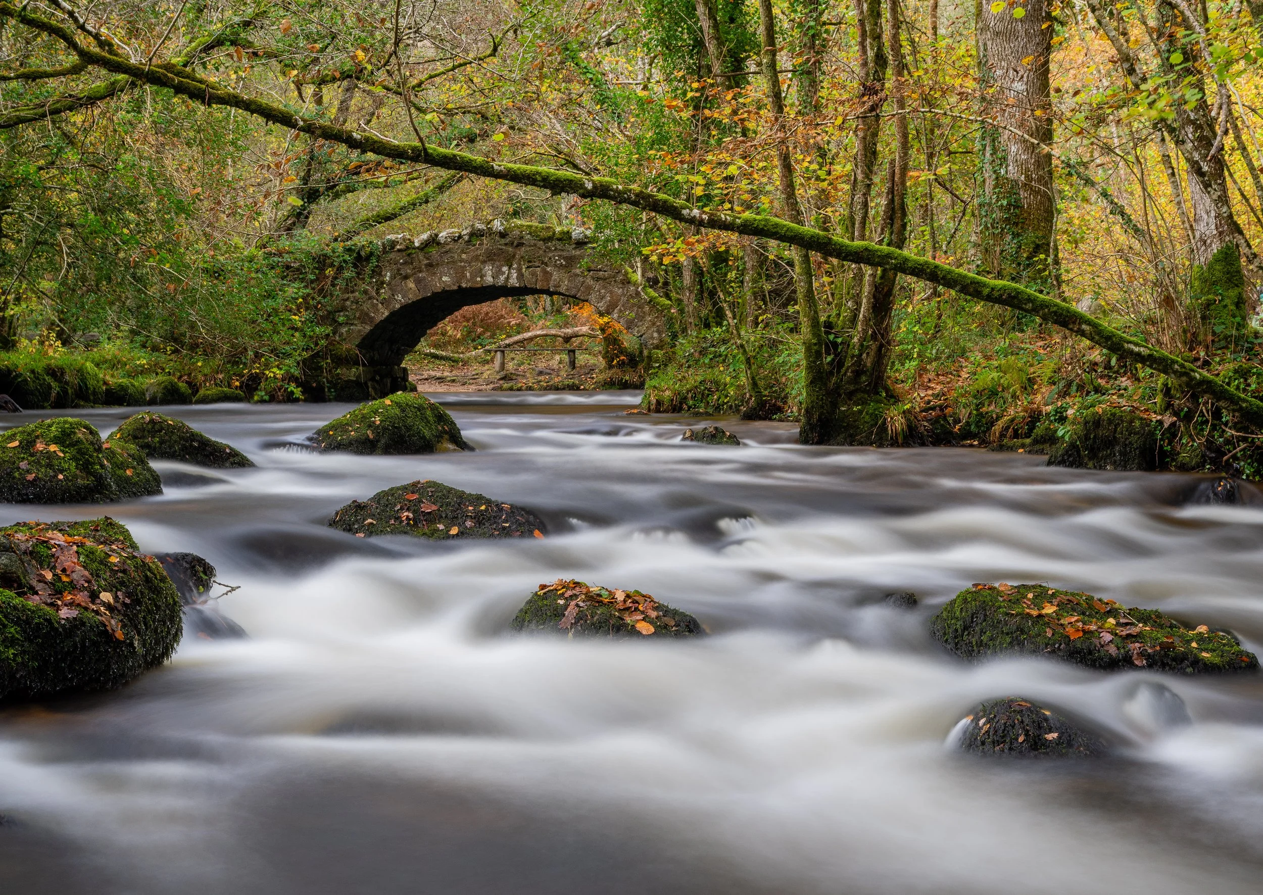 Ancient stone packhorse bridge crossing the river Bovey in Hisley Woods, Dartmoor National Park, Devon