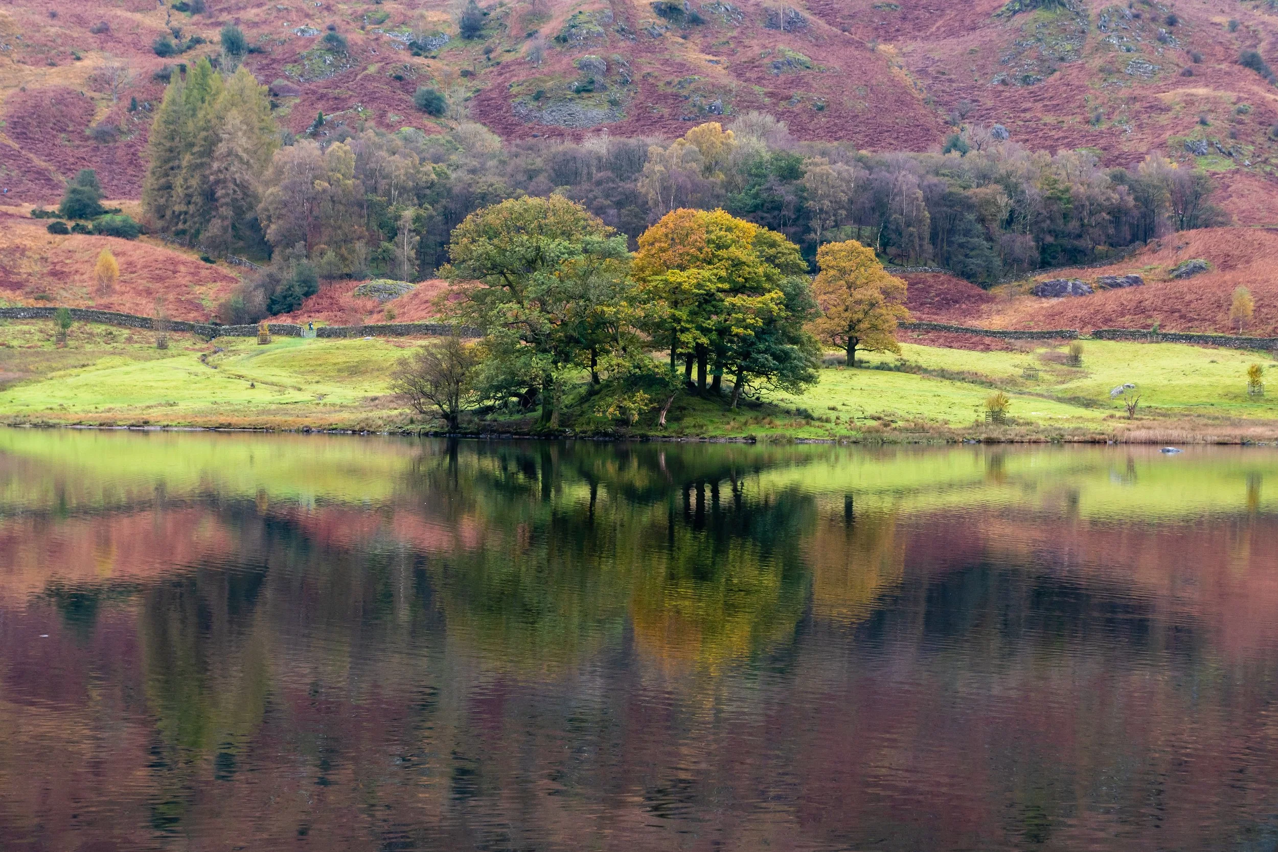 Early morning reflections on Rydal Water in the Lake District