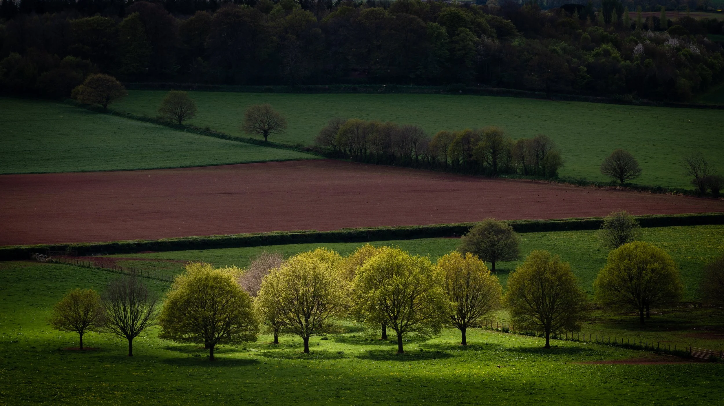 Killerton House, Exeter