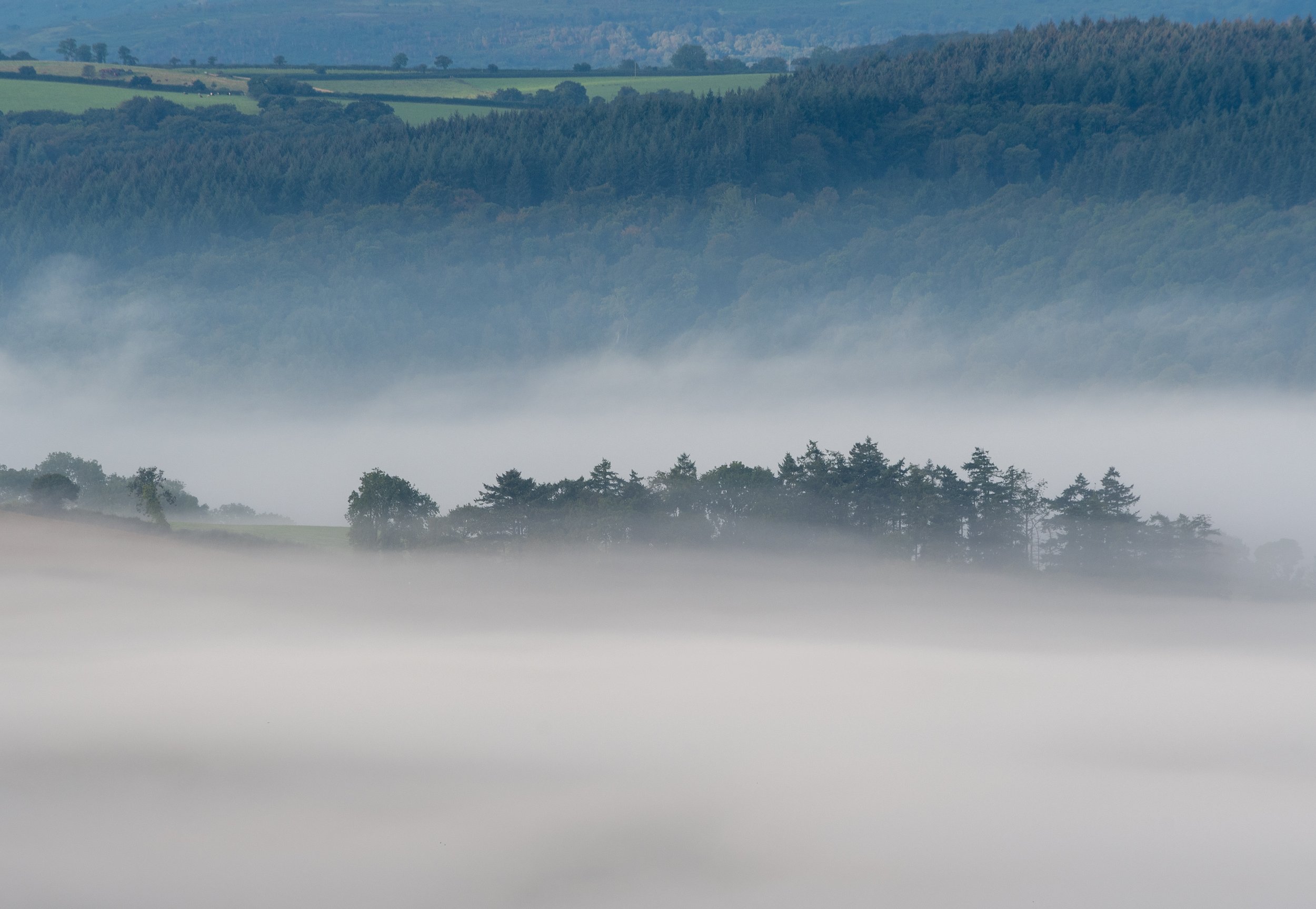 Early morning mist in the Teign valley, Exeter, Devon