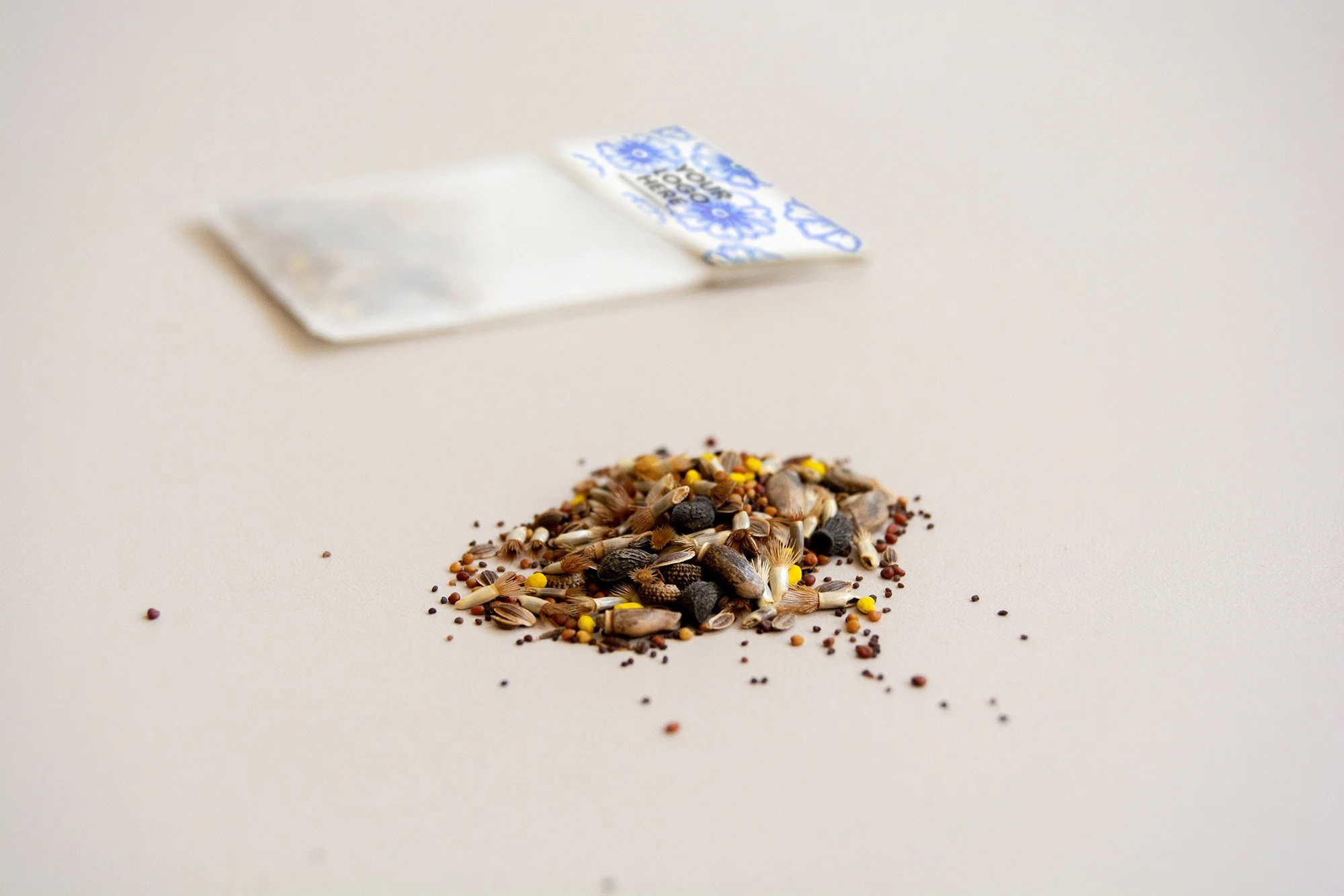 sobre cartón_YLH_4_web.jpg