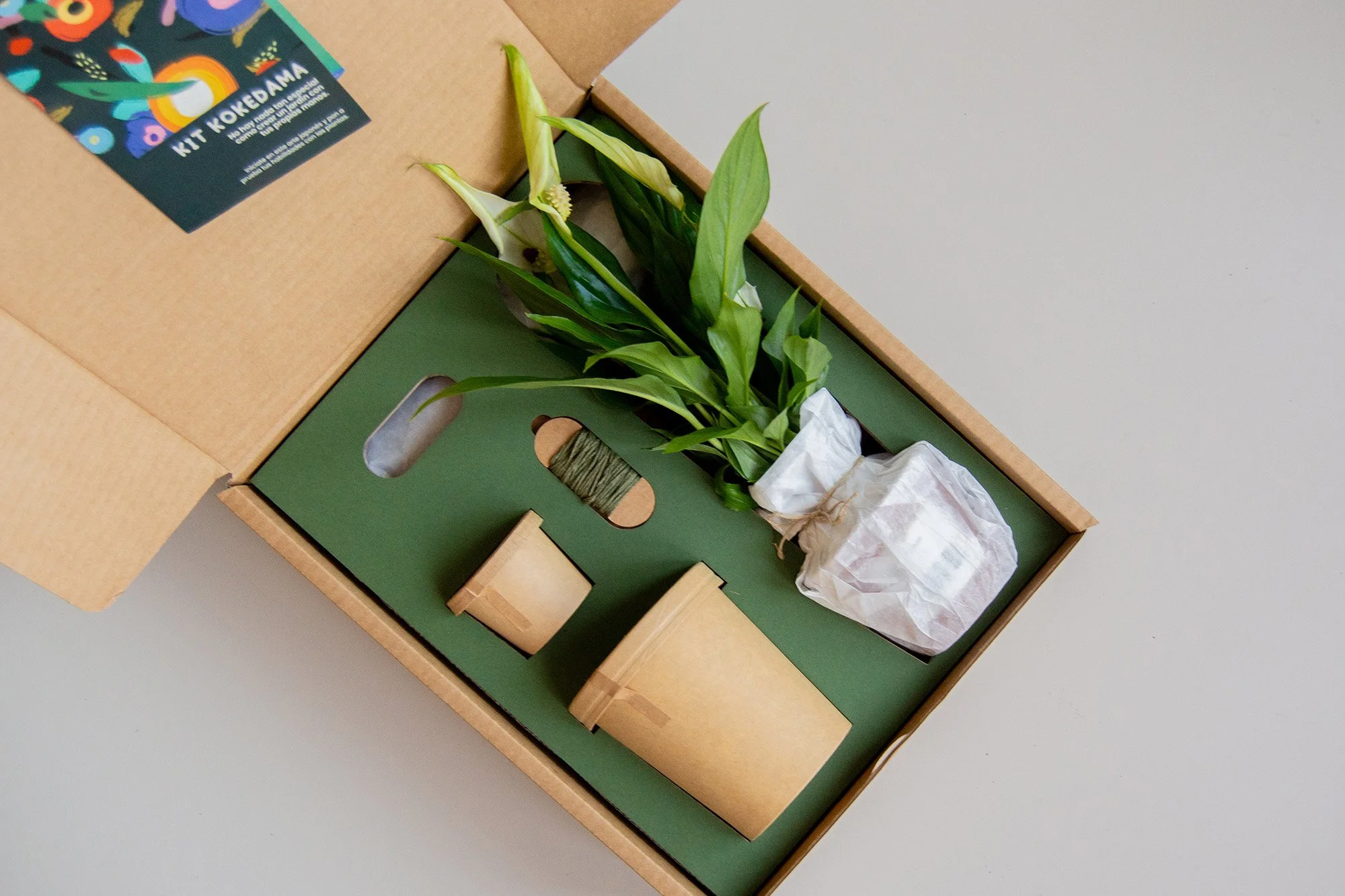 kit kokedama_15_web.jpg