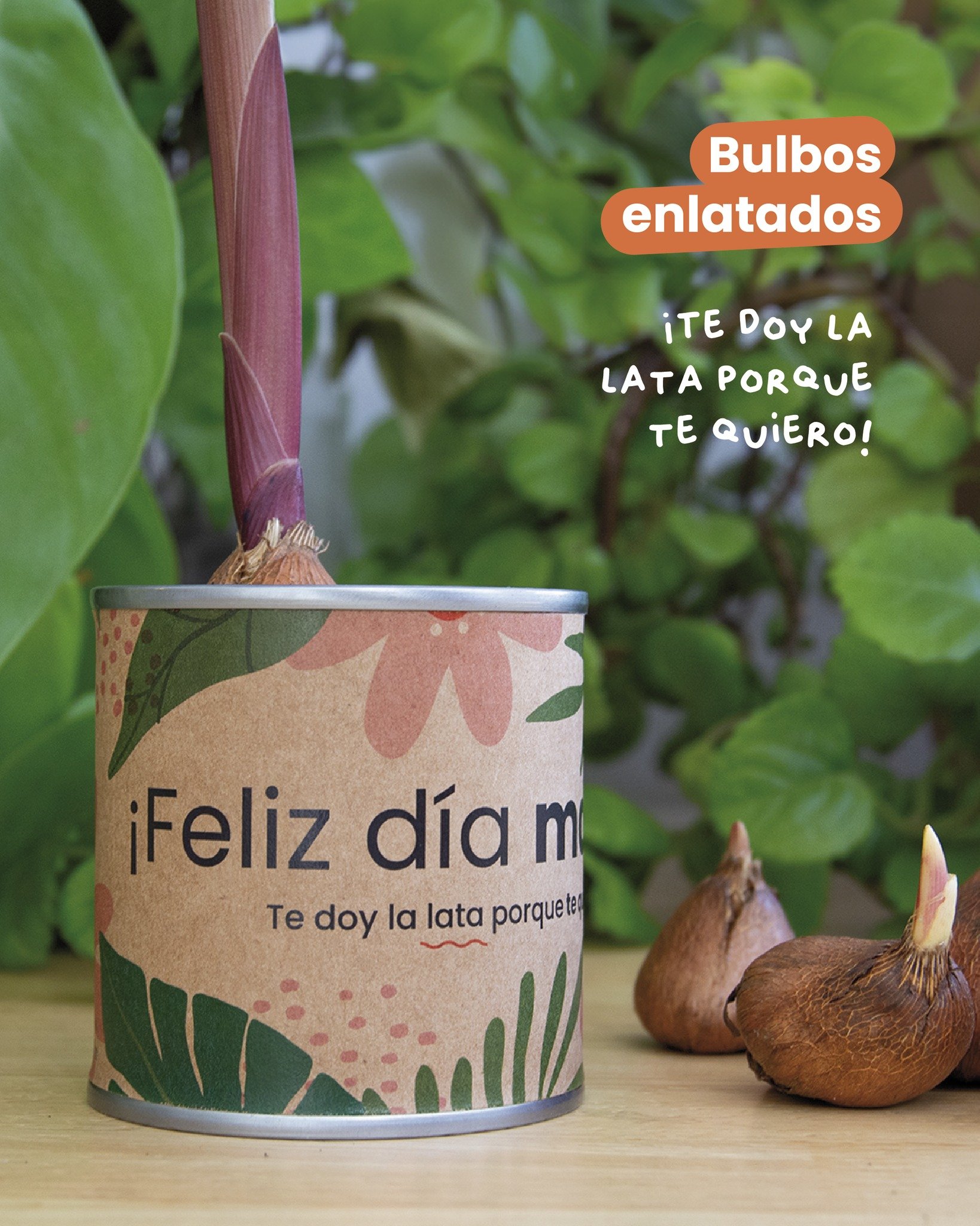 Este Día de la Madre, regala vida en una latita. El Bulbcan es más que un detalle: es una promesa de flores, de futuro y de amor que crece.
Porque las flores más bonitas merecen florecer. 💚
#RegalaVida #DíaDeLaMadre #Bulb