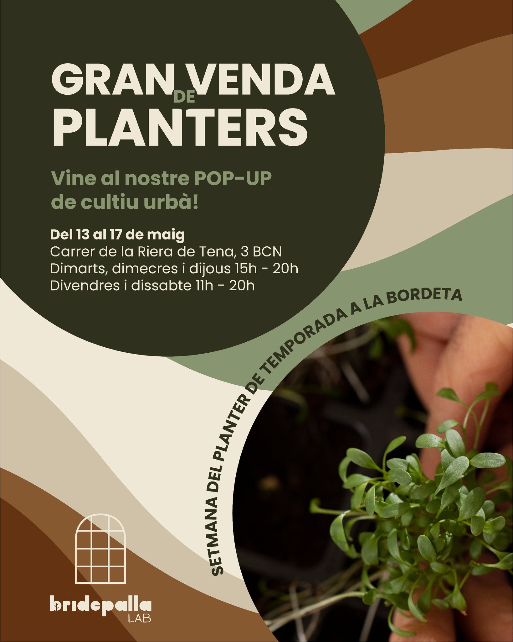 La semana que viene, en #BridepallaLAB, venderemos de plantel a precios ridículos. Aprovecha el mejor momento para iniciarte en el huerto urbano.
La setmana vinent tindrem planter a preus ridículs. Aprofita el millor moment per a inic