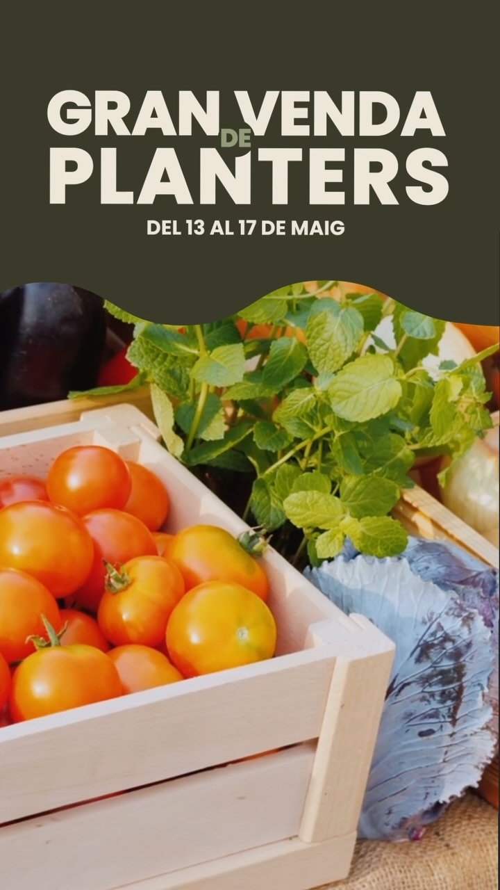 🌱 Fes créixer el teu propi hort!
Tenim planter de temporada, de proximitat, local i econòmic (0,50€!!!)
🍅 Enciam, tomàquet, pebrot, albergínia... tot a punt per plantar!
📍 Vine a veure’ns del 13 al 17 de mai