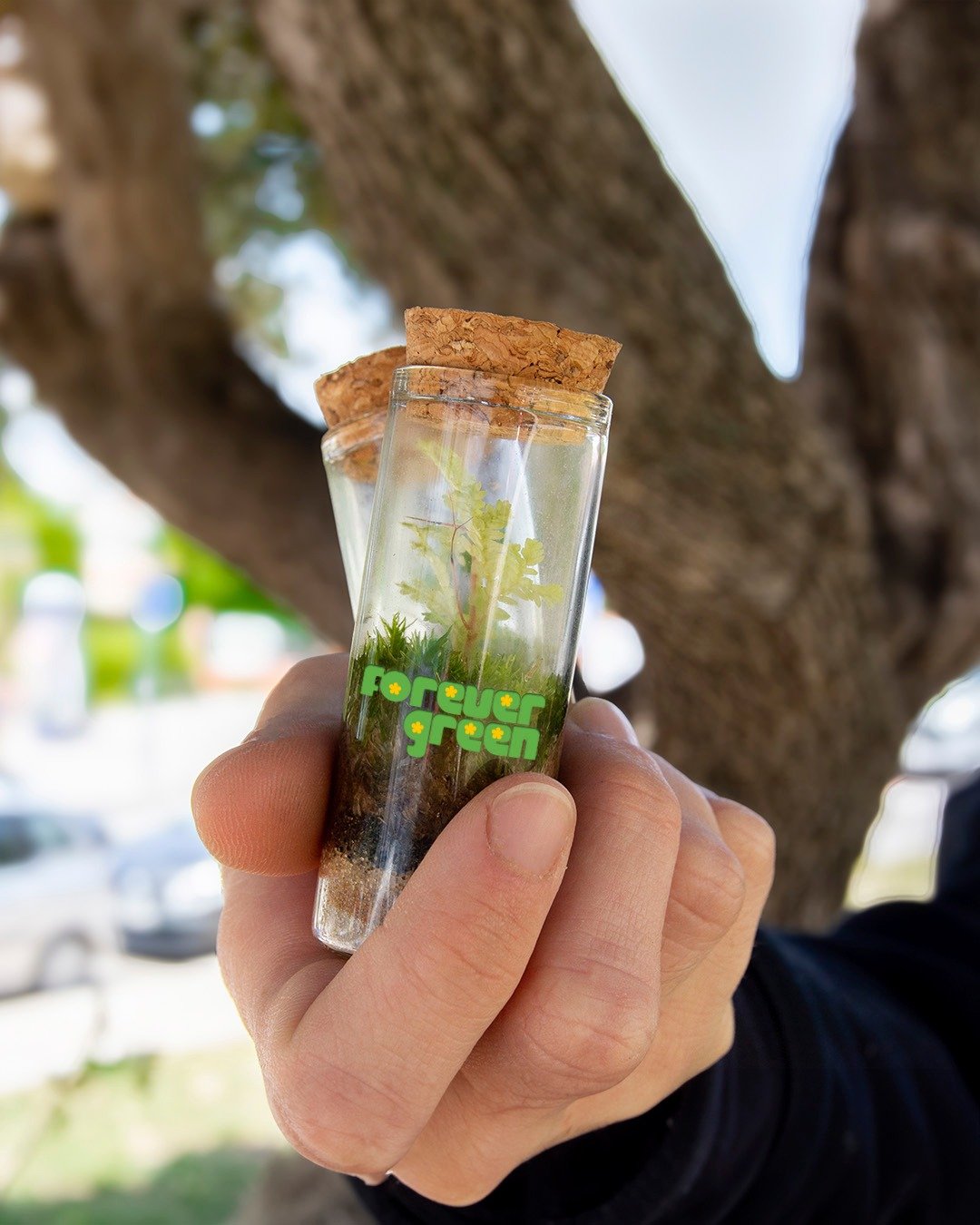 🌿 ¿Y si te dijera que la esperanza cabe en un frasquito?
Literal. Este mini mundo verde es un recordatorio de que todavía hay vida. Todavía hay intención. Todavía se puede.
Lo hicimos para que lo tengas cerca. En