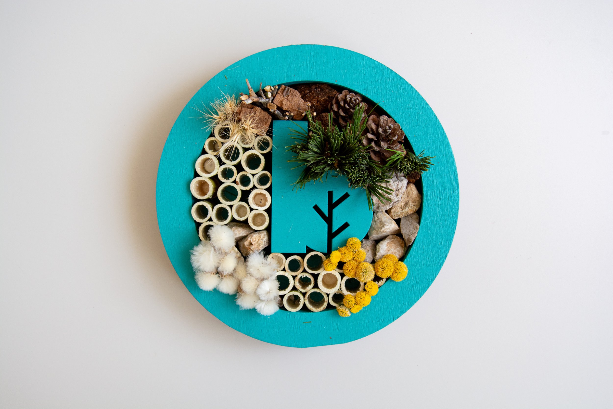 hotel insectos_12.jpg