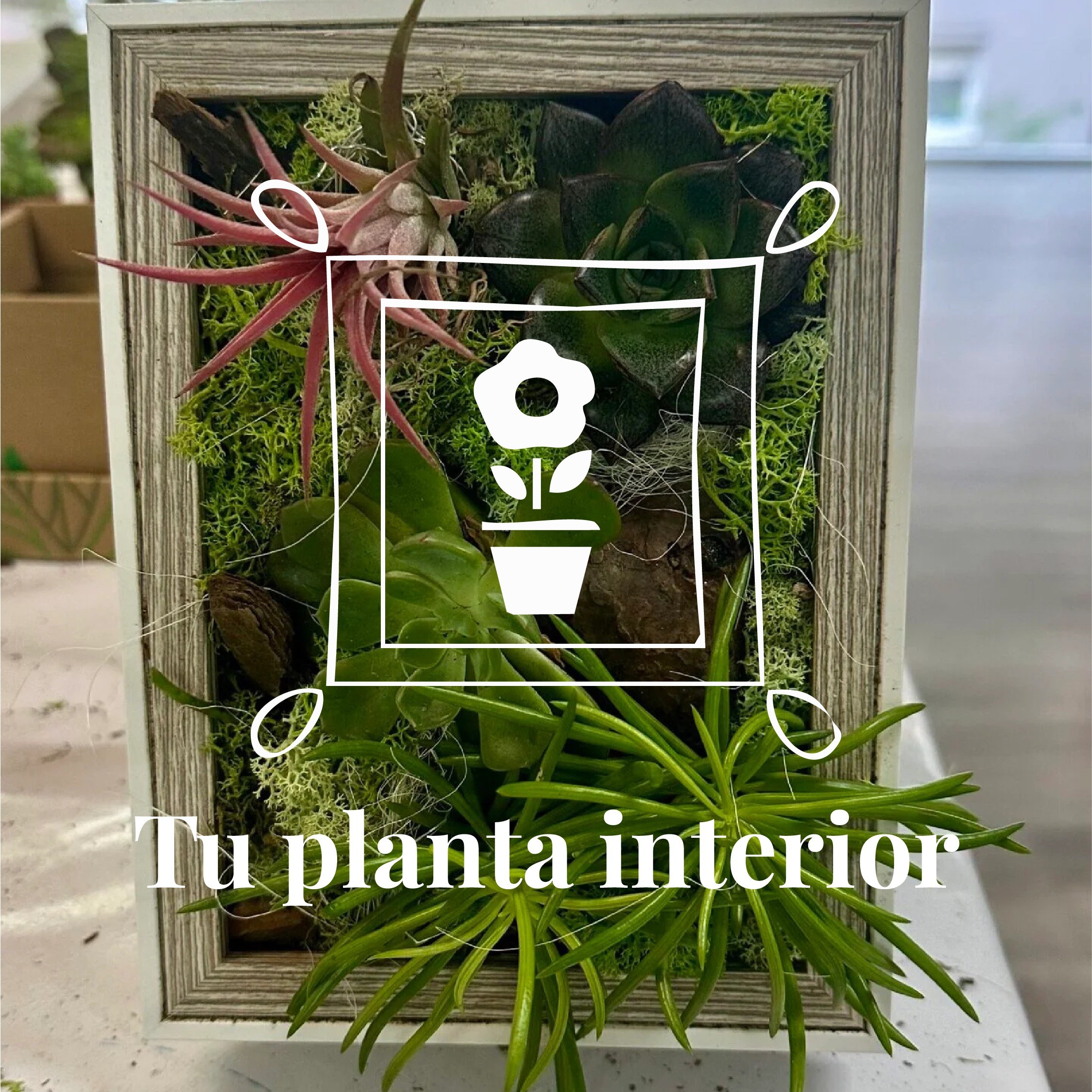 Taller de cuadros vivos