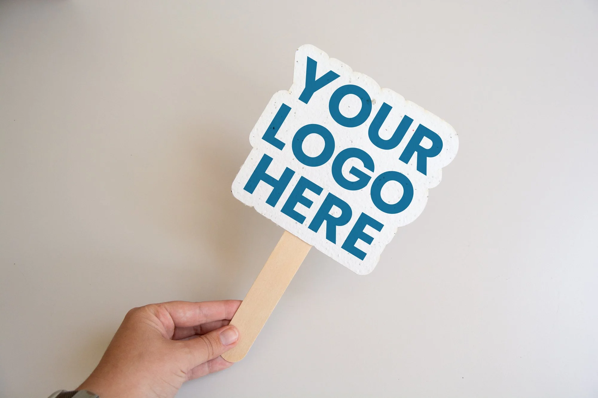 abanico_YLH_1_web.jpg