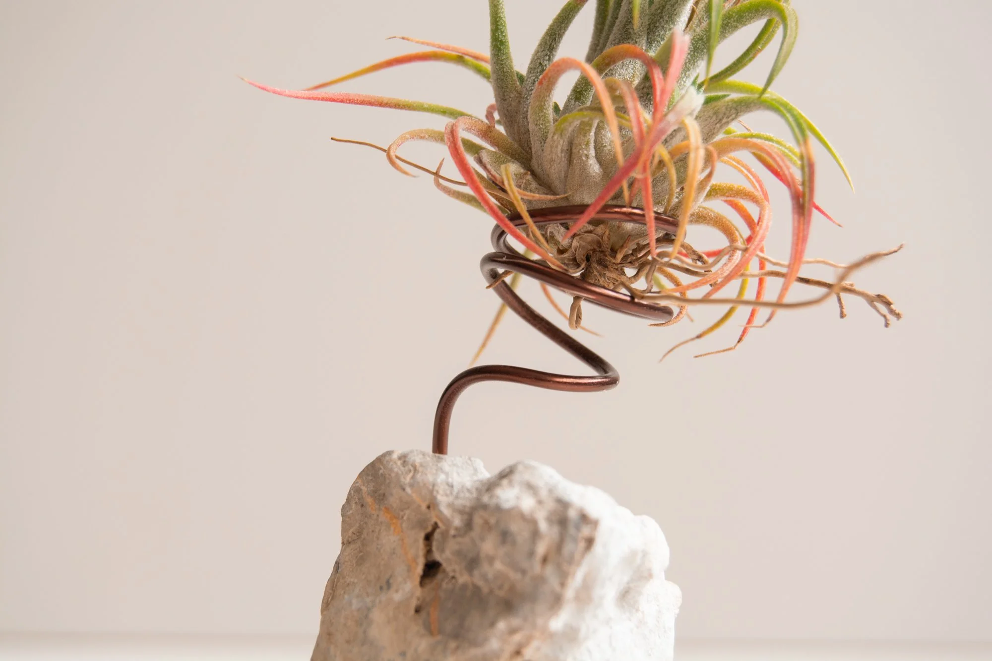 Tilland stone_YLH_4_web.jpg