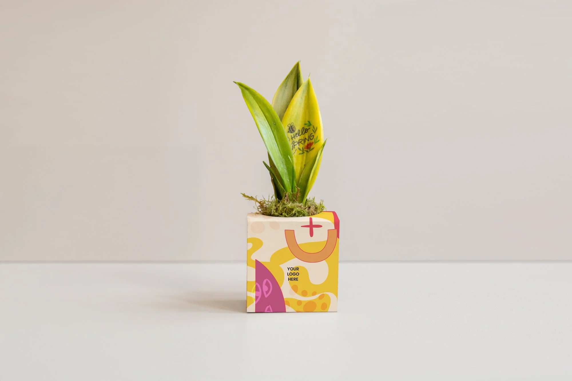 Tattoo_Sansevieria_YLH_1_web.jpg