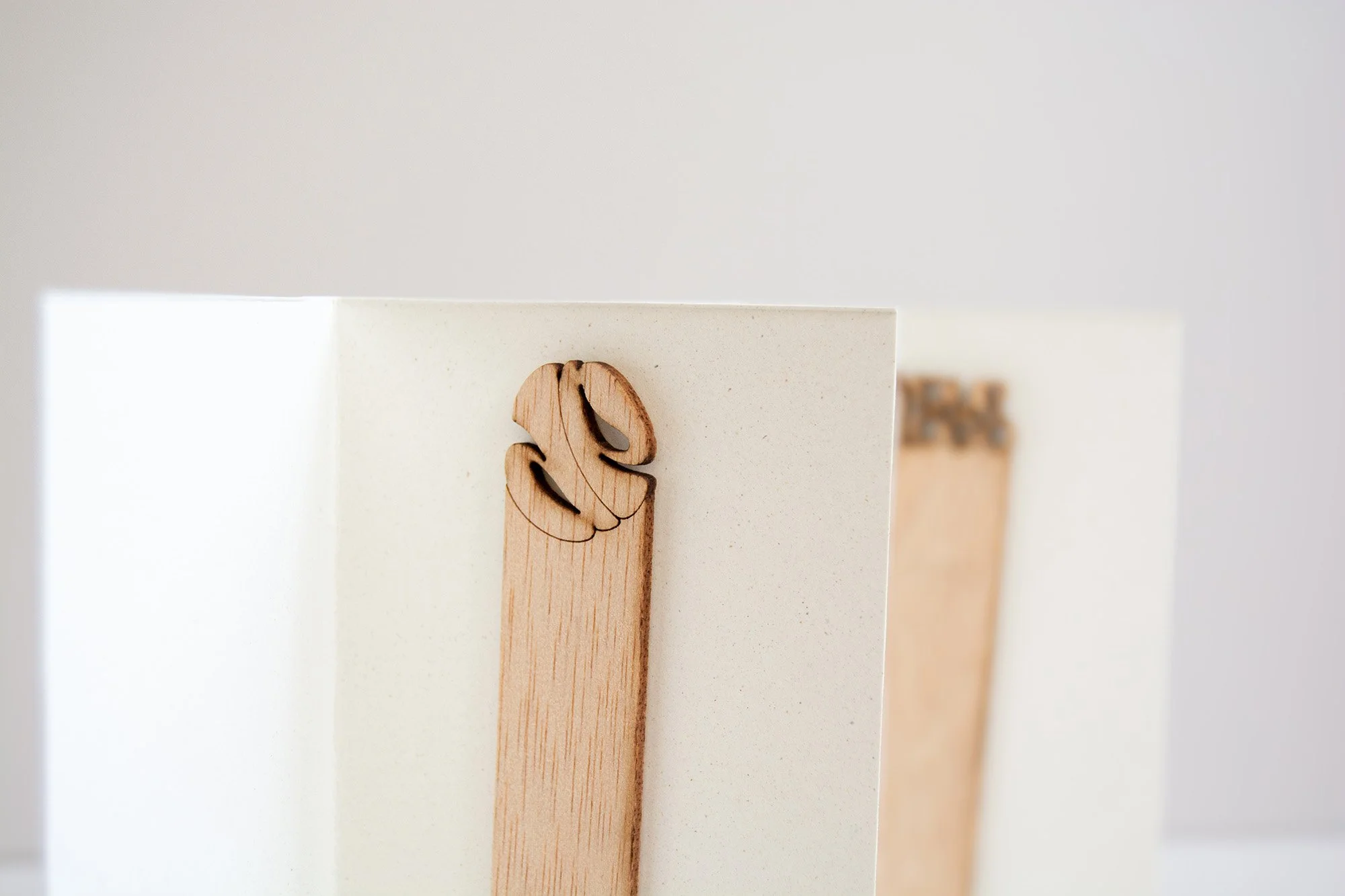 stick semillas_blanco_2_web.jpg