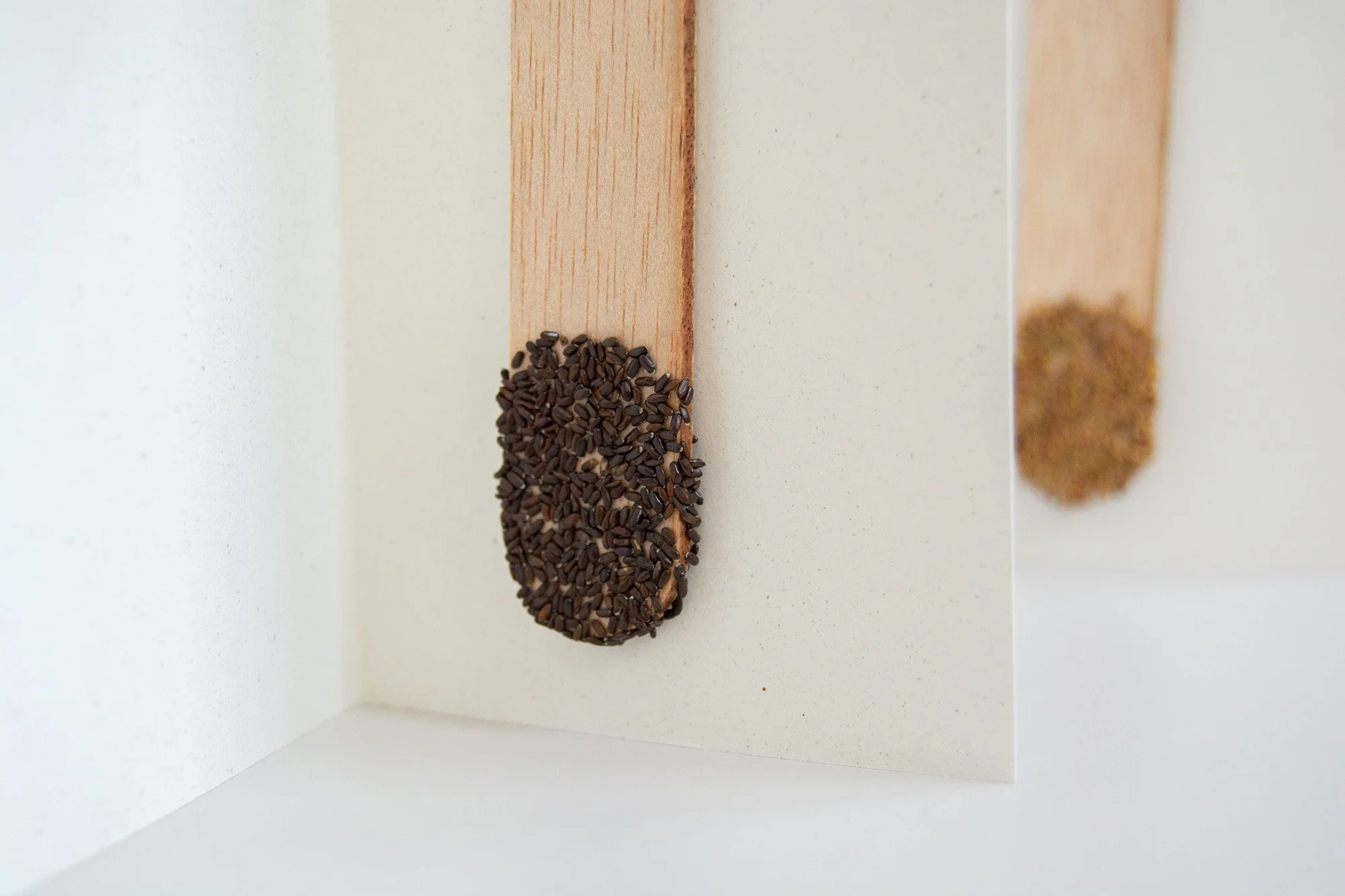stick semillas_blanco_3_web.jpg
