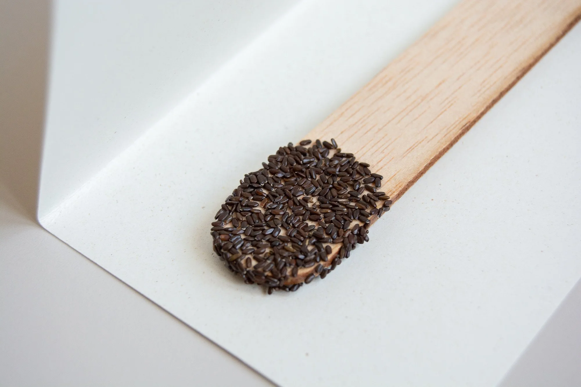 stick semillas_blanco_7_web.jpg