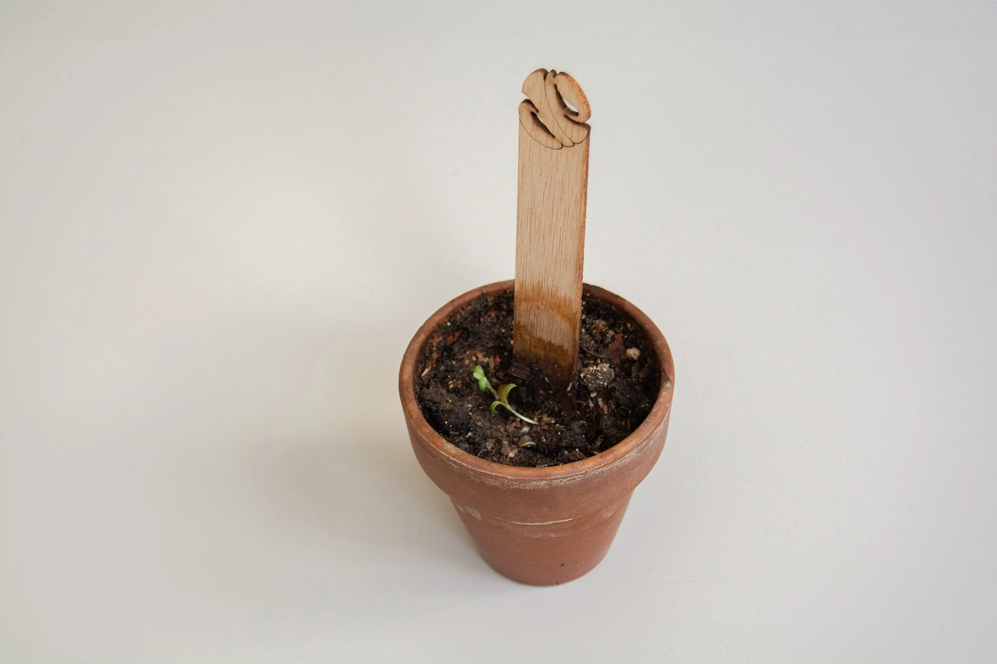 stick semillas_blanco_13_web.jpg