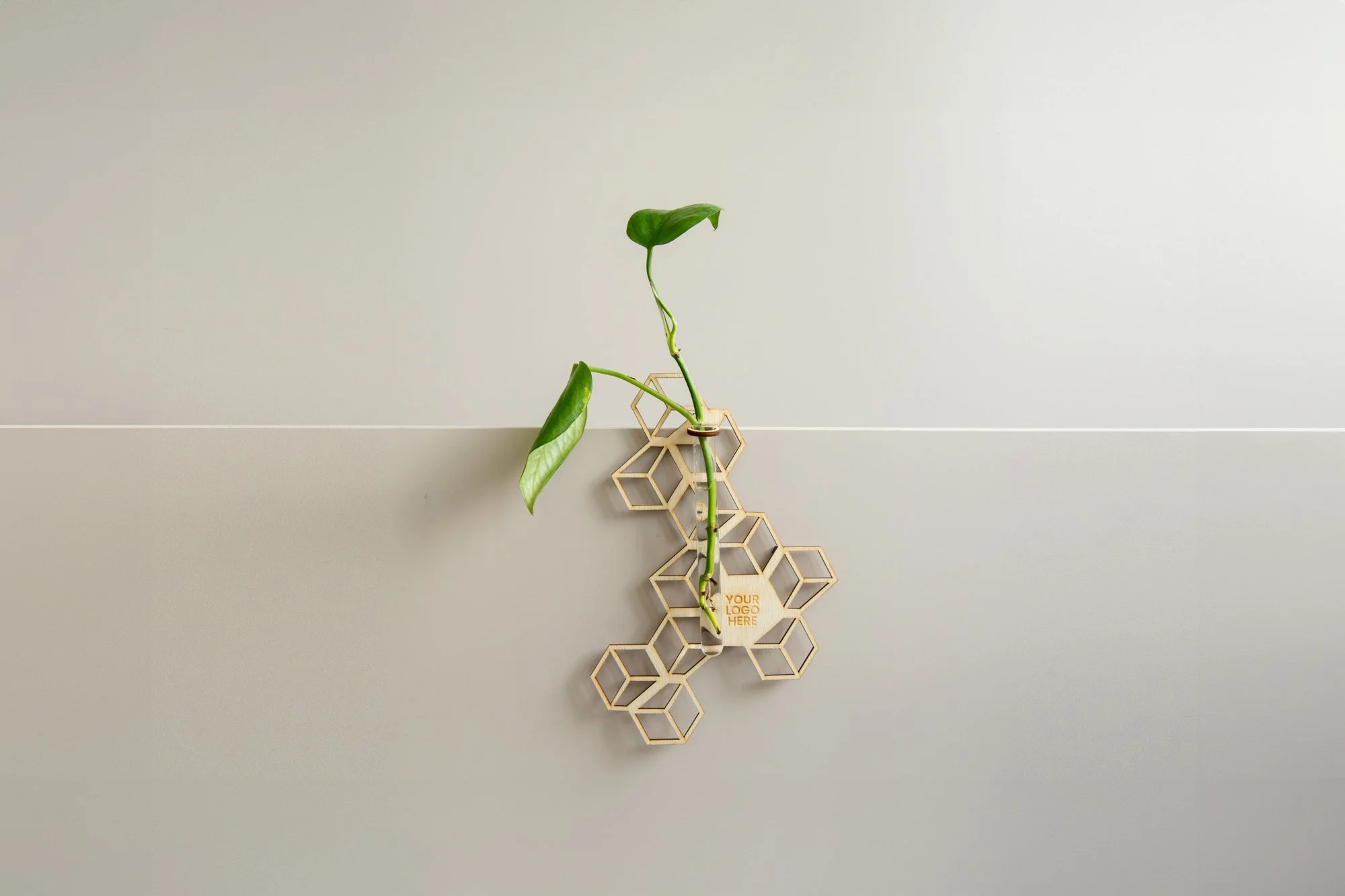 Mural_Ivy_1_web.jpg