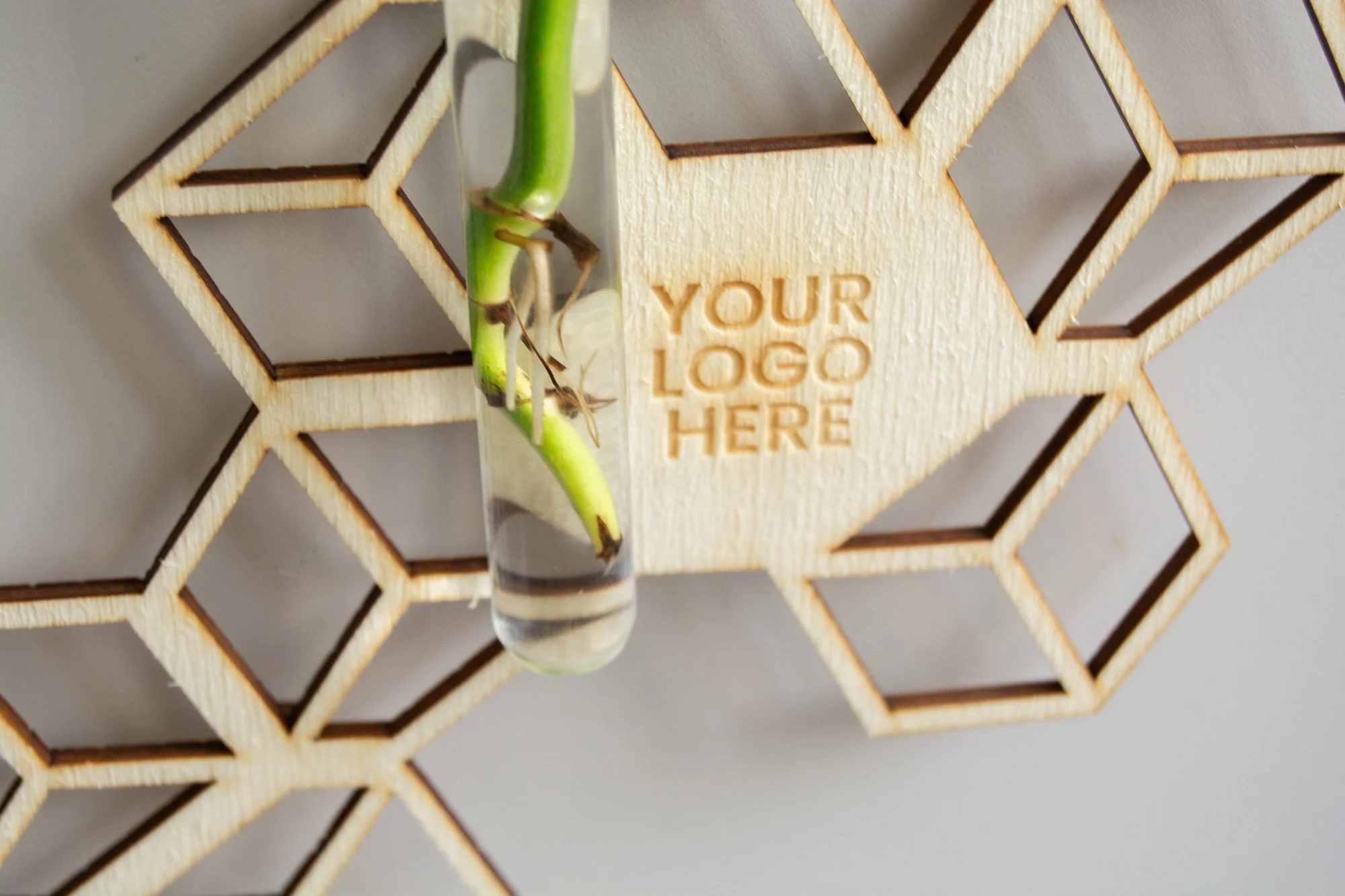 Mural_Ivy_5_web.jpg