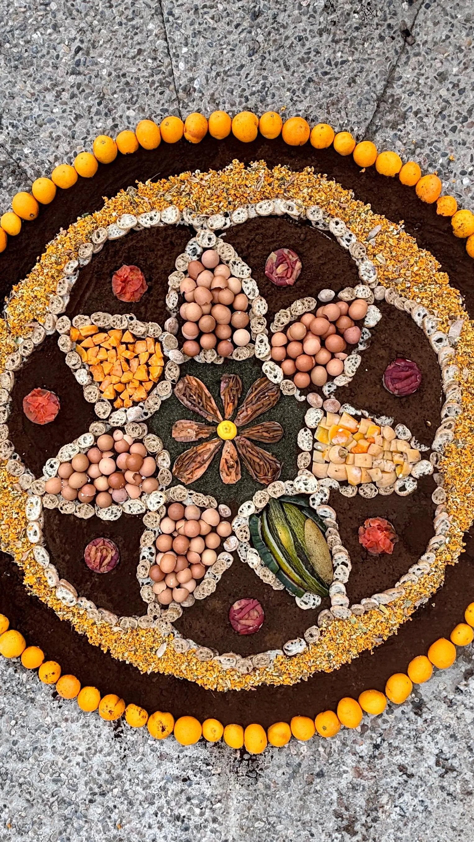 Hemos perdido de vista el ciclo de los residuos orgánicos. ¿Puede el arte y el diseño visibilizarlo y generar consciencia? Mira cómo lo hicimos para el festival @sitgesreciclart 
¡Gracias por colaborar 🌱🌱! @tantog