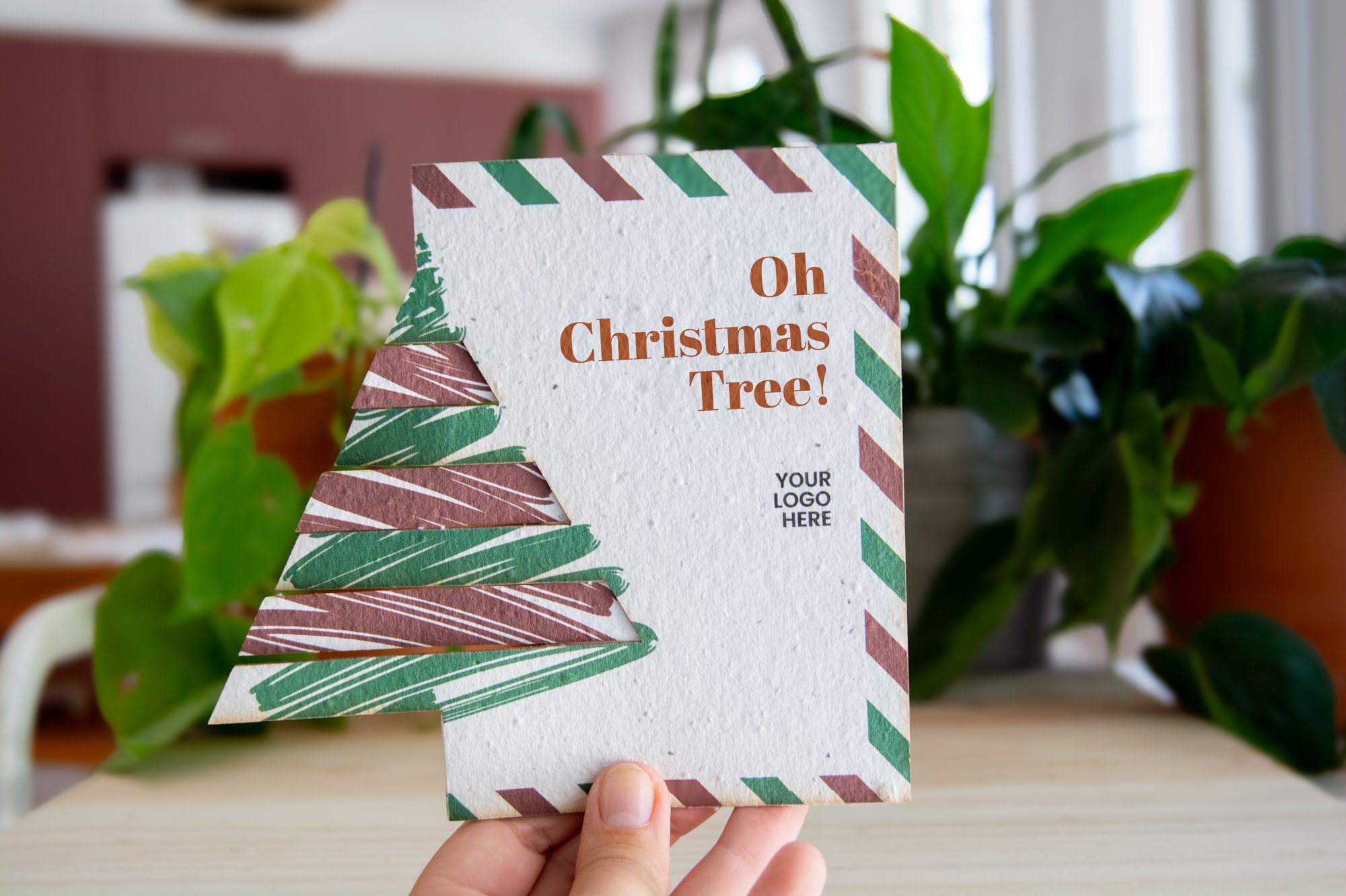 Postal_pop up_árbol_contexto_4_web.jpg