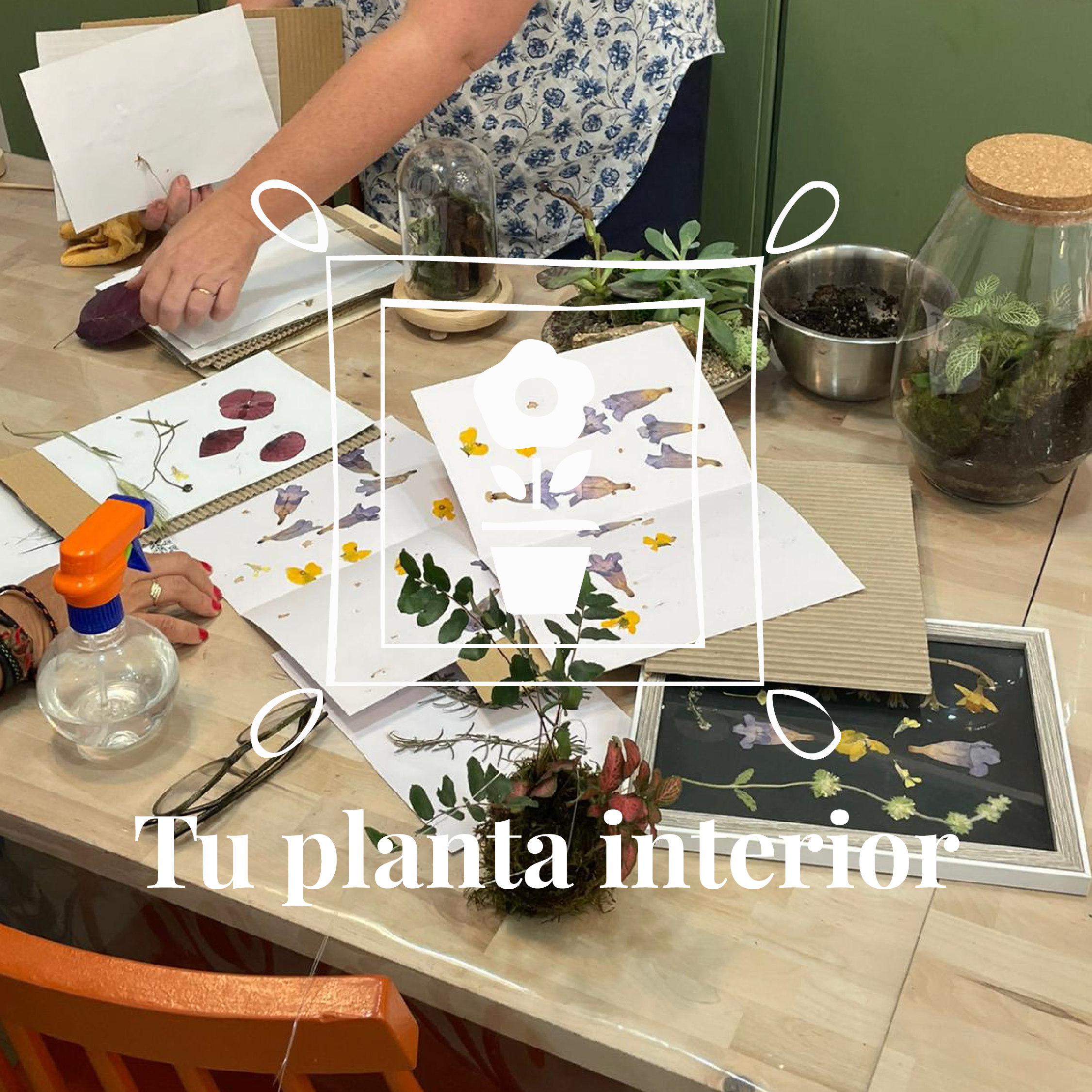 Taller Express: Descubre Tu Planta Interior BCN