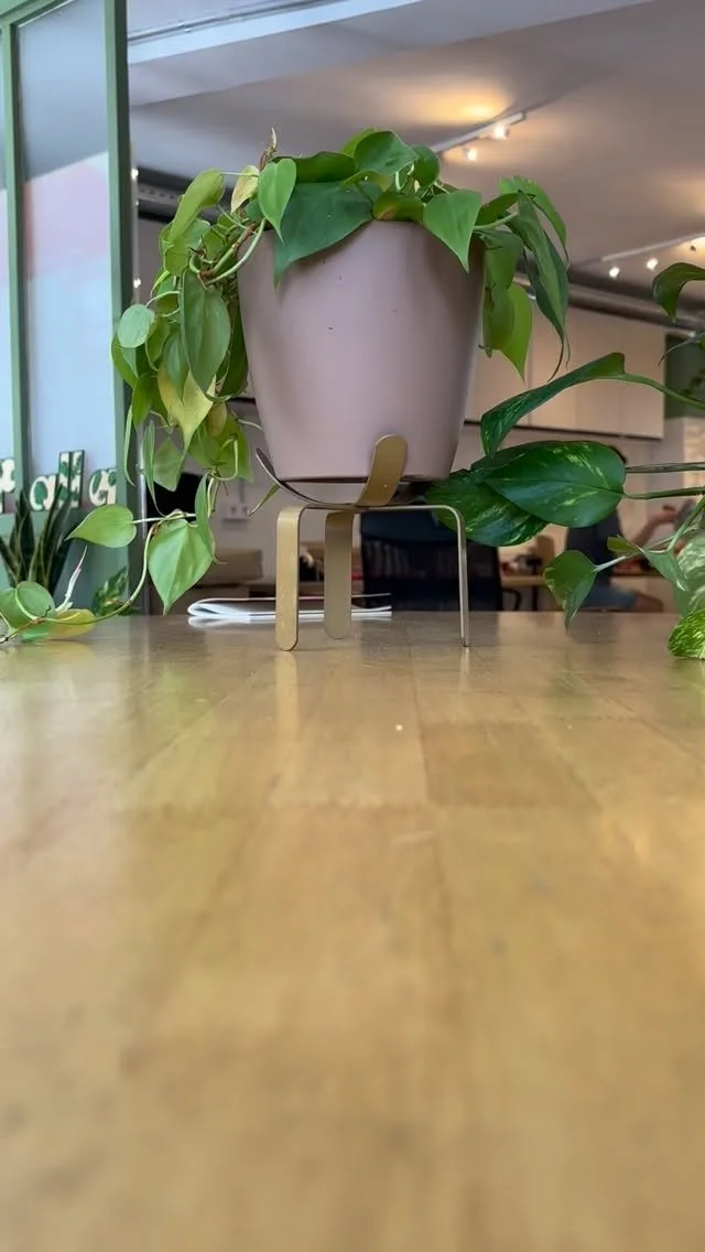 La Federación Española de Familias de Cáncer Infantil celebra 35 años, y hemos querido acompañarles en este aniversario tan especial. Creemos firmemente que el apoyo integral a los menores con cáncer y a sus