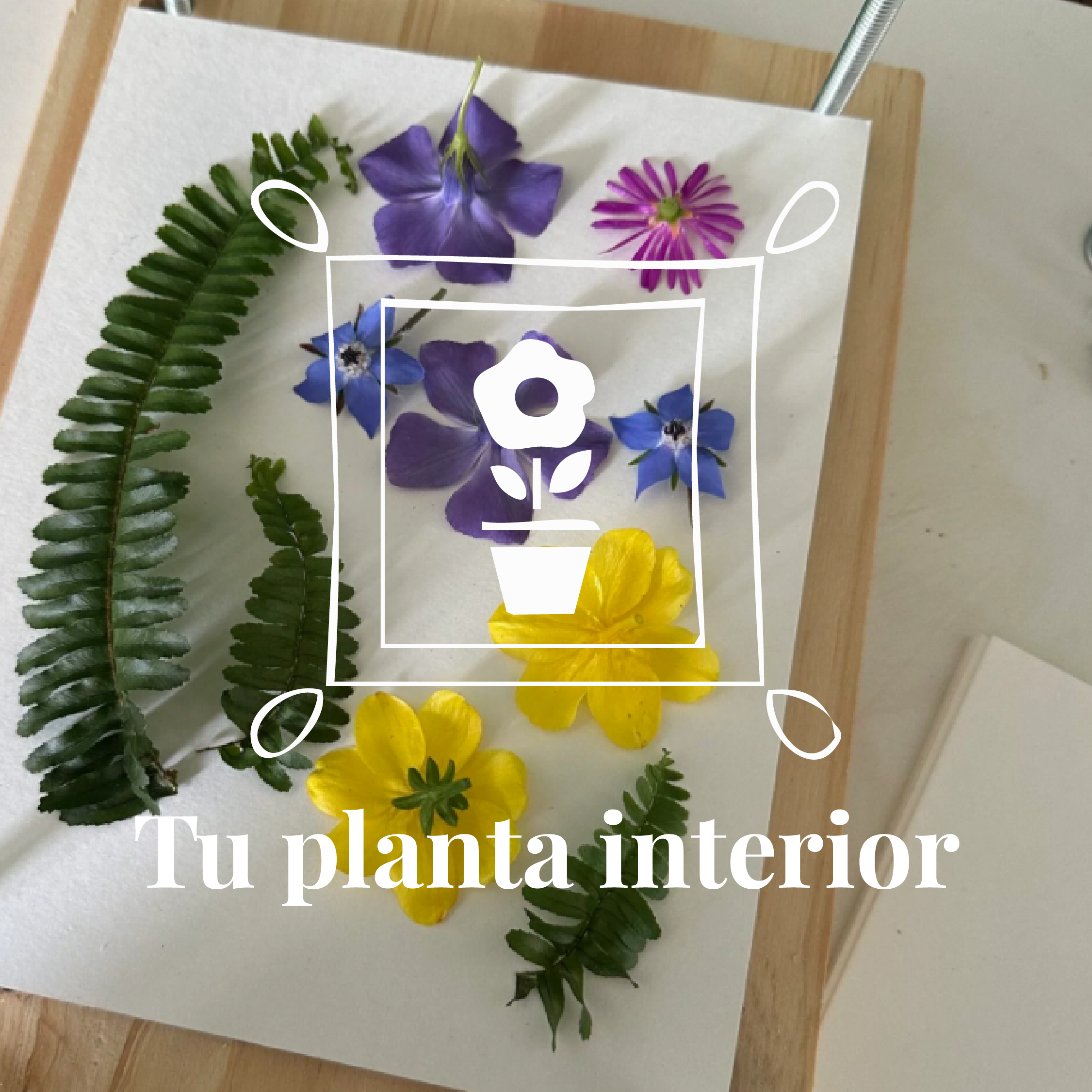Memoria vegetal