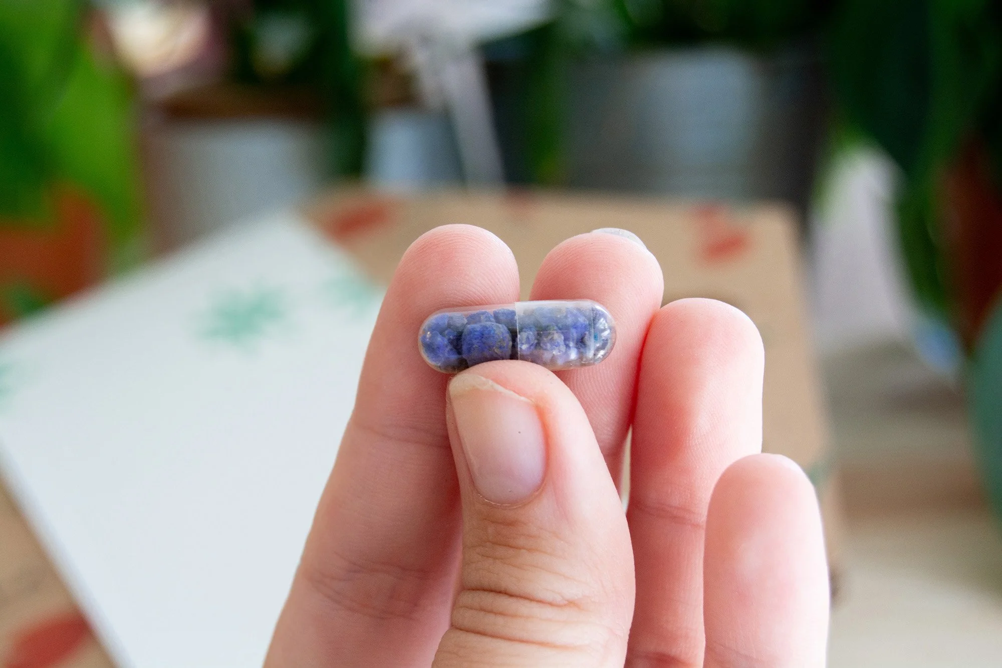 calendari advent_bri_2026_1.jpg