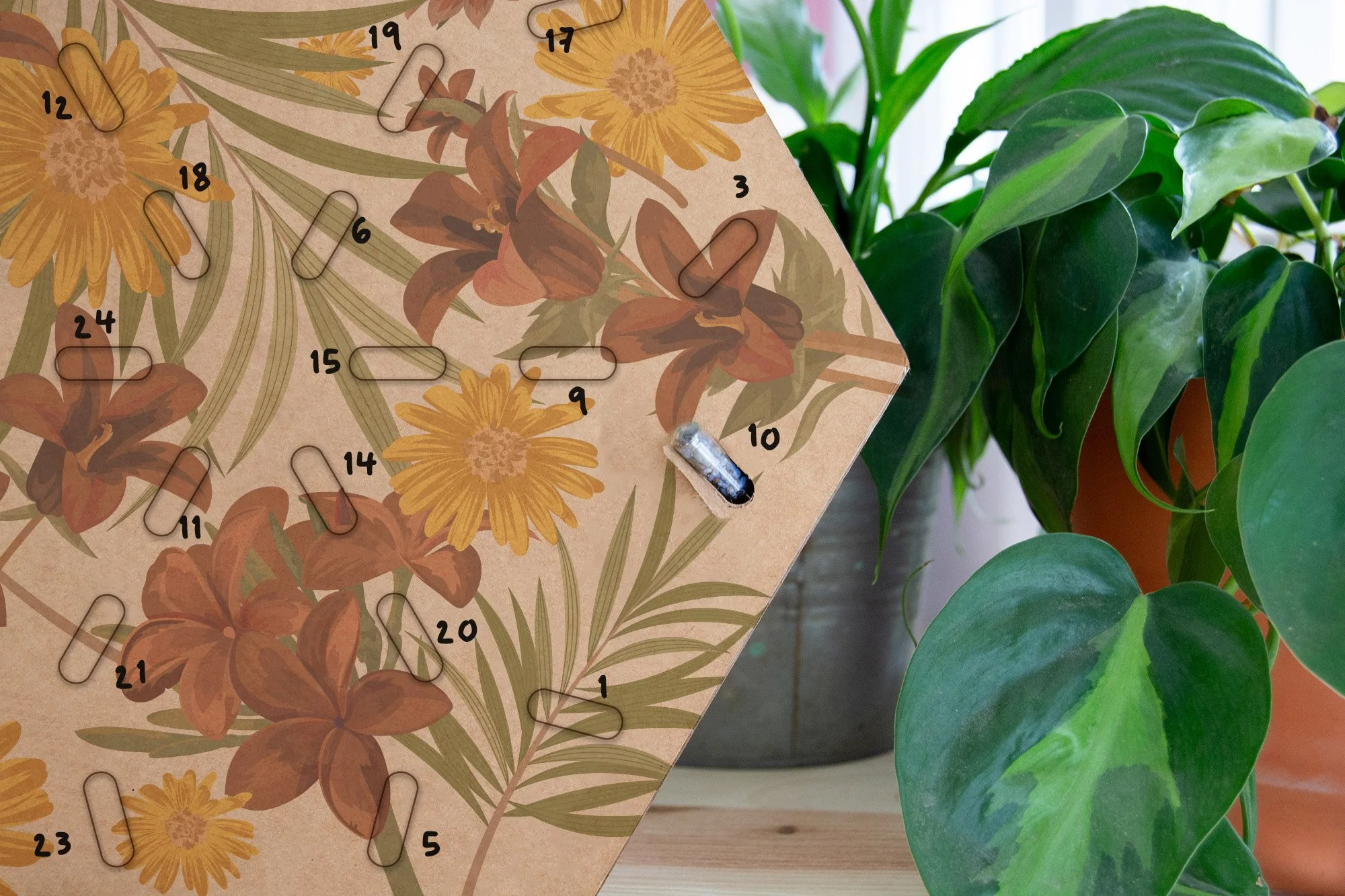 calendari advent_bri_2026_2.jpg