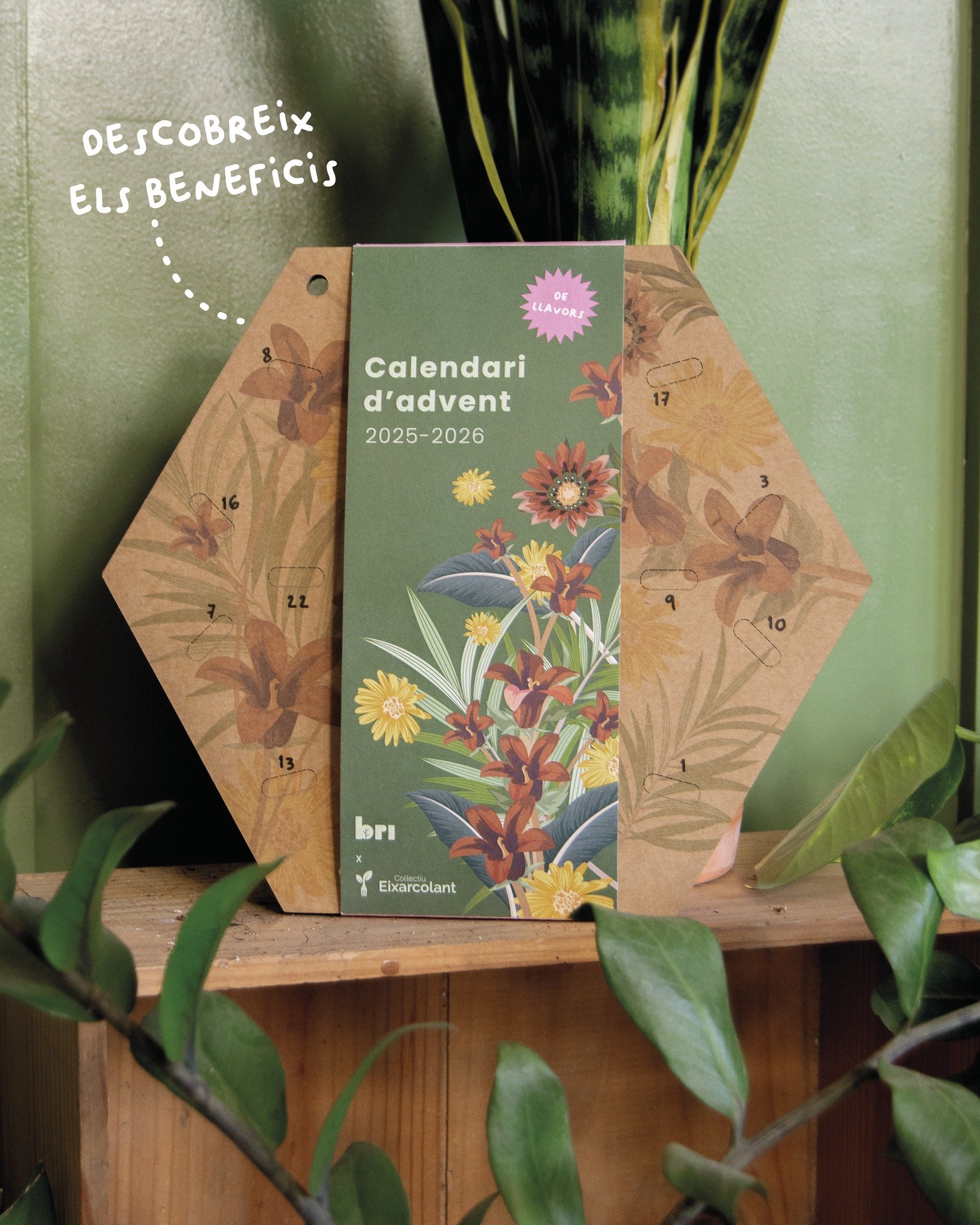 Un dia, una llavor. Plantar &eacute;s benefici&oacute;s per a la teva salut i per la del planeta. Plant and be happy! Encara est&agrave;s a temps de fer-te amb el calendari d'advent de llavors de #bridepalla