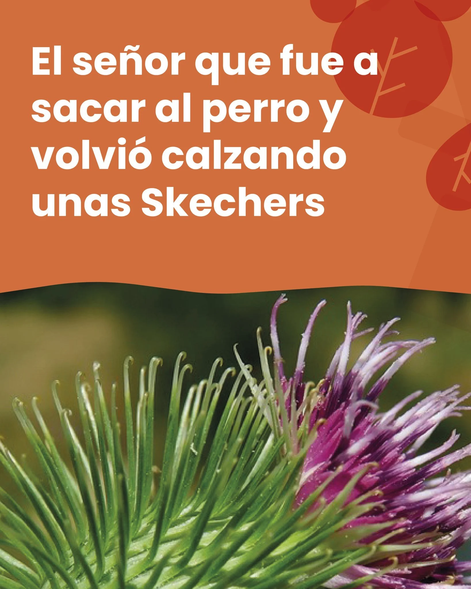 &iquest;Sab&iacute;as que uno de los inventos m&aacute;s usados del mundo naci&oacute; de un paseo por el bosque? 🌿

A partir de esa simple observaci&oacute;n naci&oacute; el velcro, un sistema de cierre que hoy usamos en ropa, zapatillas, mochilas 