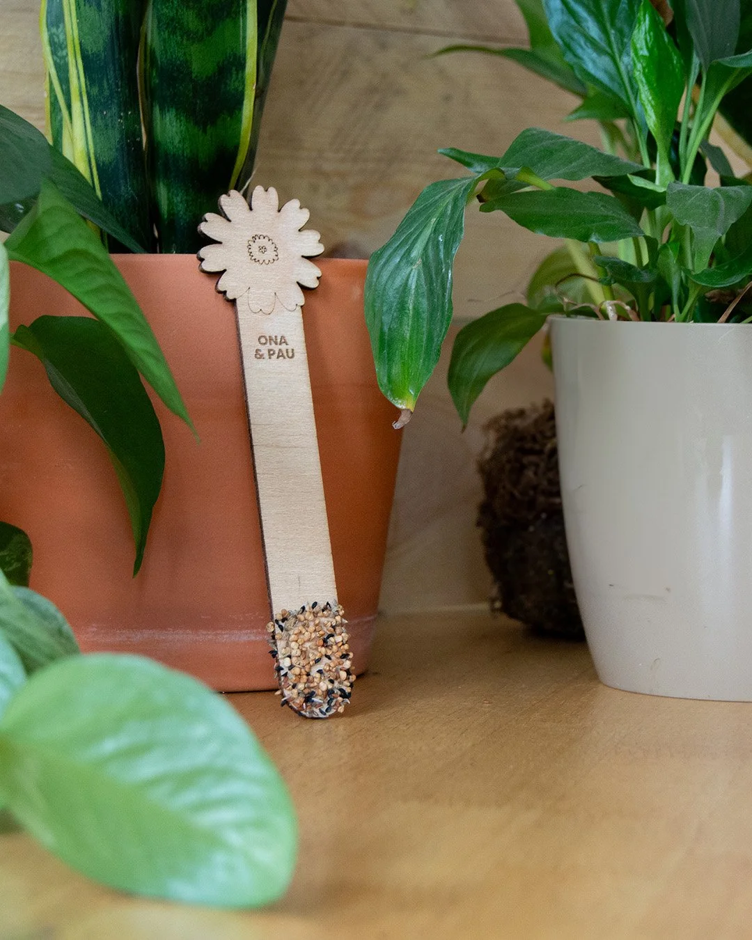 &iexcl;Aqu&iacute; tienes algunos de los nuevos productos del cat&aacute;logo de bodas 2026!

Celebremos el amor de manera sostenible 🌱💍

🌿 Plantas, semillas y sorpresas eco-friendly
🎉 Regalos que los invitados recordar&aacute;n y podr&aacute;n h