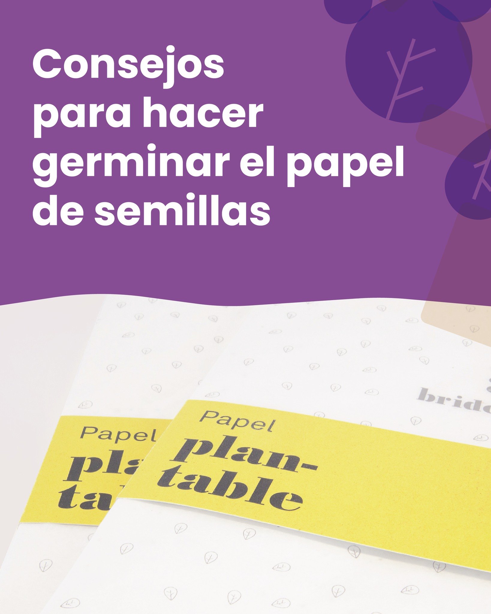 &iquest;Quieres algunos trucos para hacer germinar tu papel de semillas? 🌱

Hemos reunido consejos pr&aacute;cticos para acompa&ntilde;arte en el proceso y ayudarte a que tus semillas crezcan fuertes y sanas 🌼

Descubre lo f&aacute;cil que es dar v