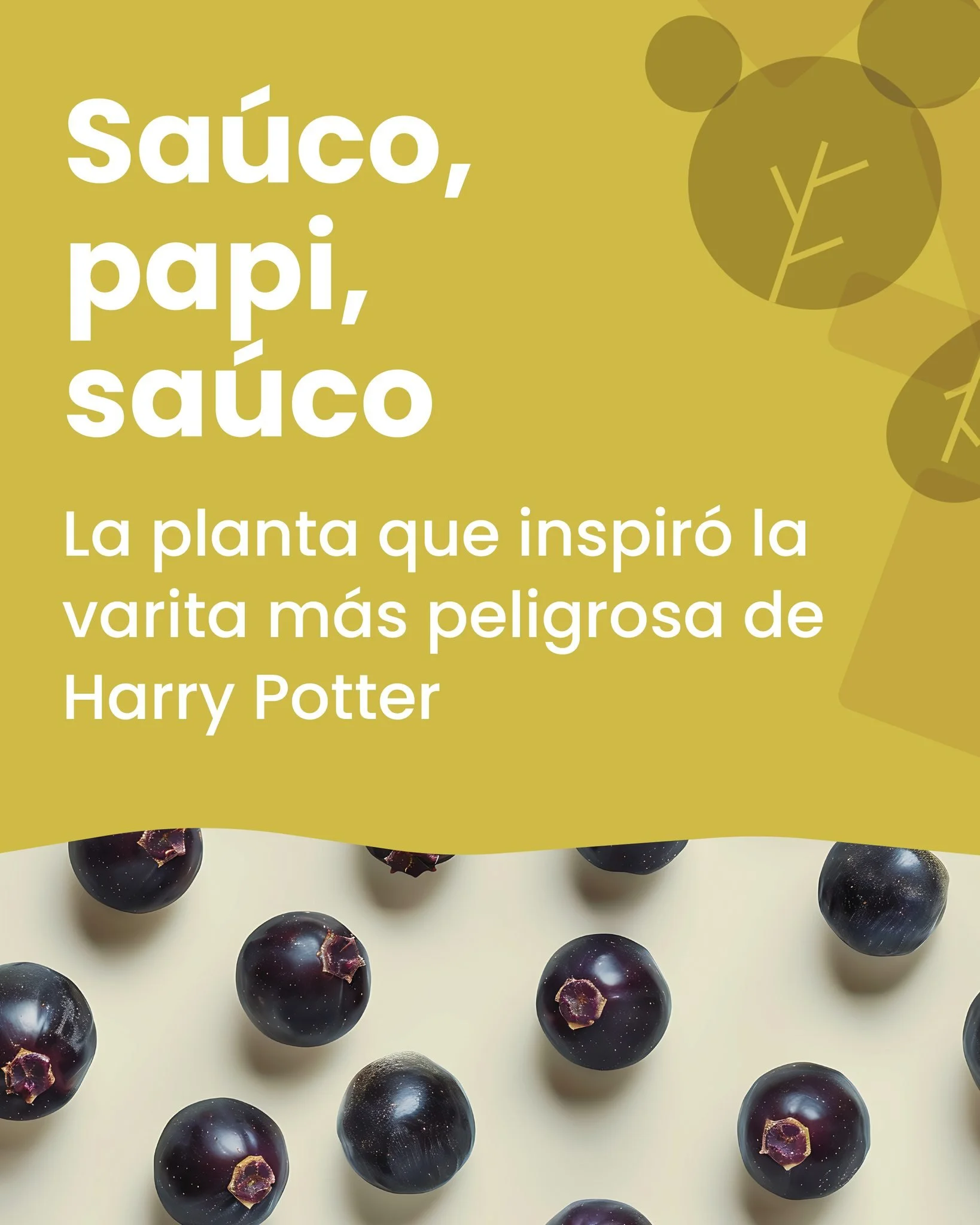 &iquest;Sab&iacute;as que la Varita de Sauco no solo es la m&aacute;s poderosa del mundo m&aacute;gico, sino tambi&eacute;n una de las m&aacute;s temidas? Y que adem&aacute;s&hellip; &iexcl;del sauco tambi&eacute;n sale una mermelada tremenda! 🍇

✨ 