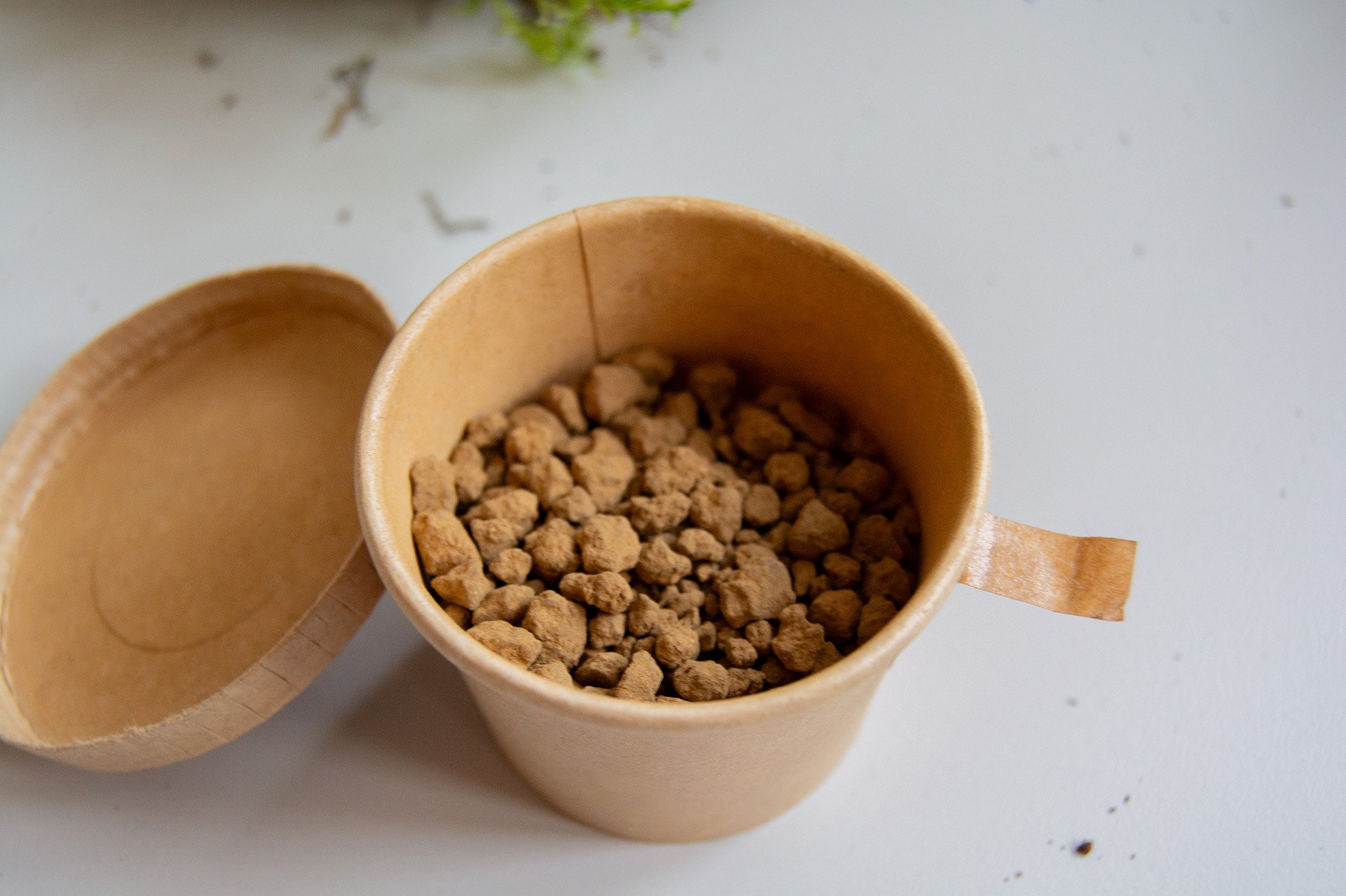 kit kokedama_11_web.jpg