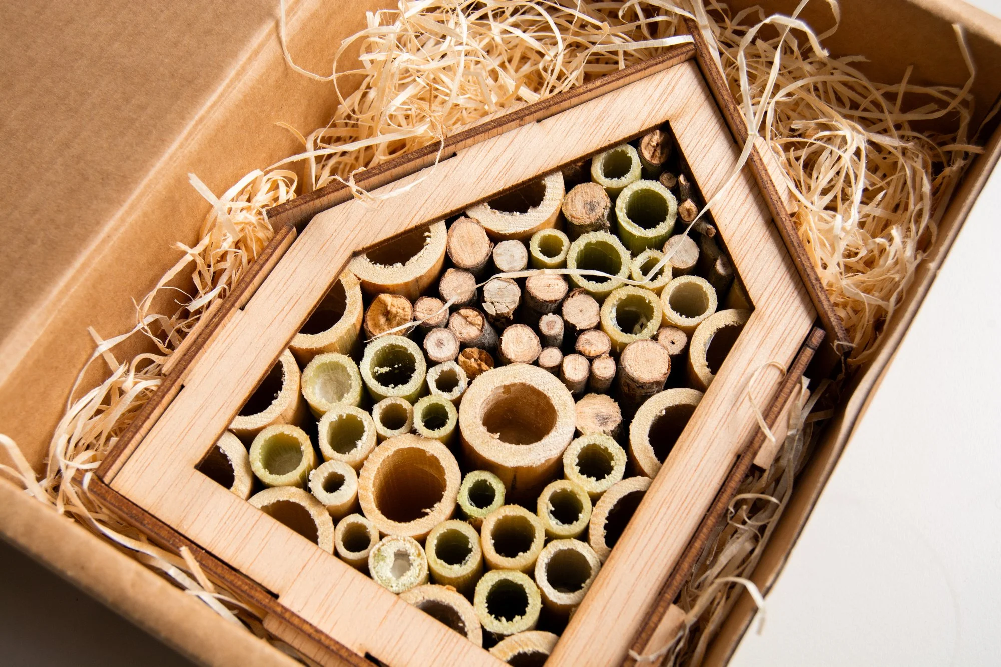 hotel insectos_2.jpg