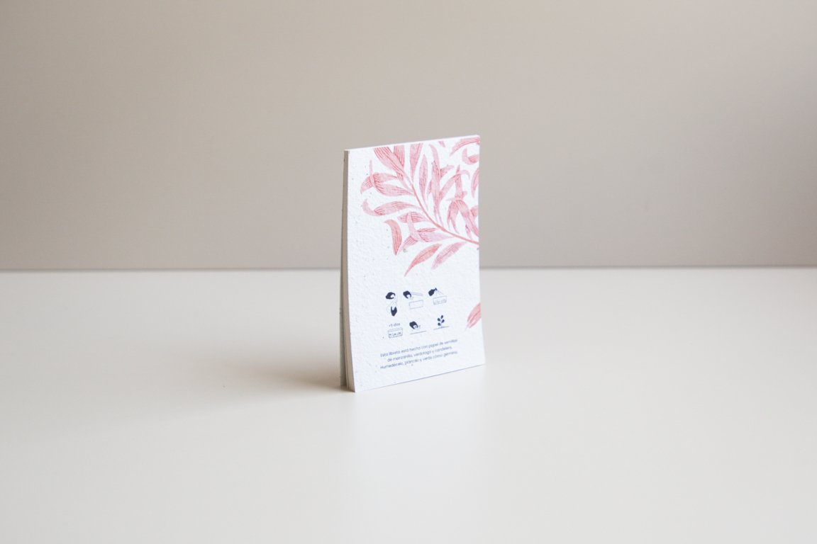 web_libreta engomada-2.jpg