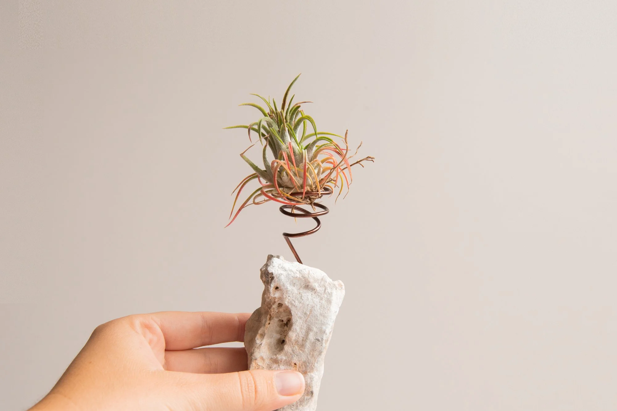 Tilland stone_YLH_5.jpg