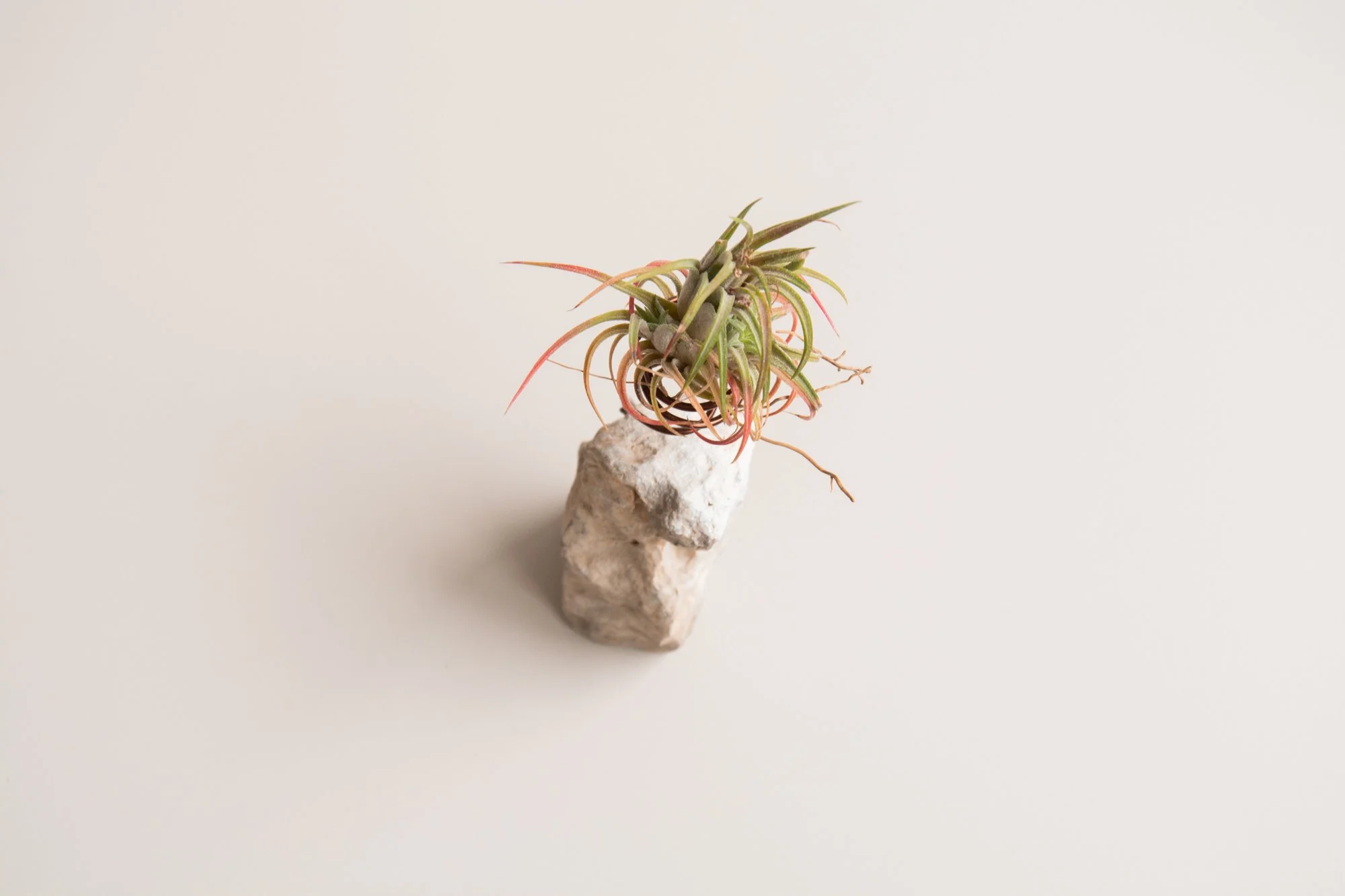 Tilland stone_YLH_2.jpg