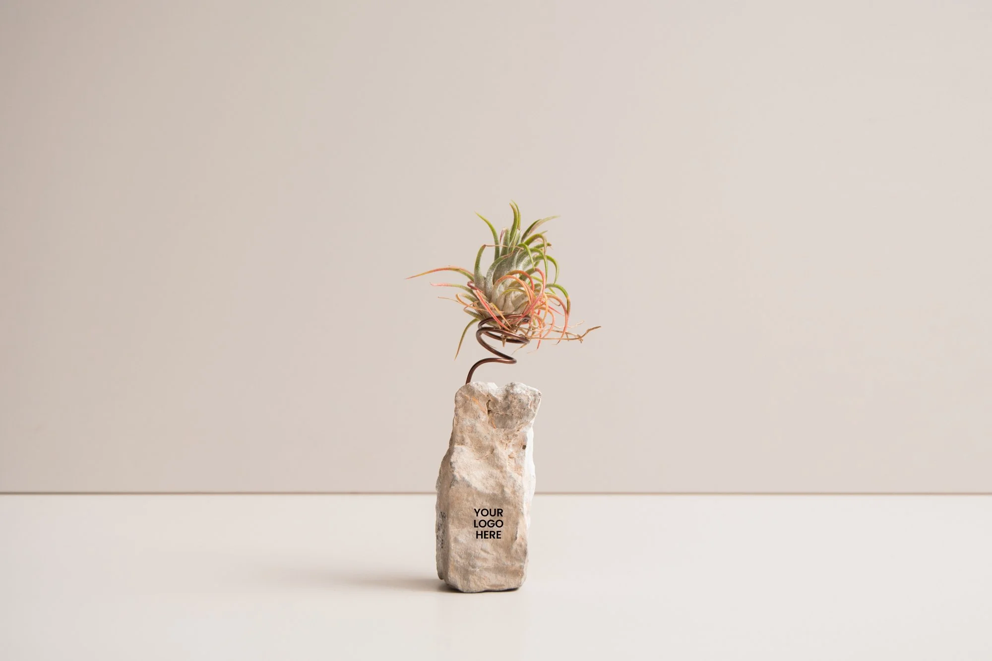 Tilland stone_YLH_1.jpg