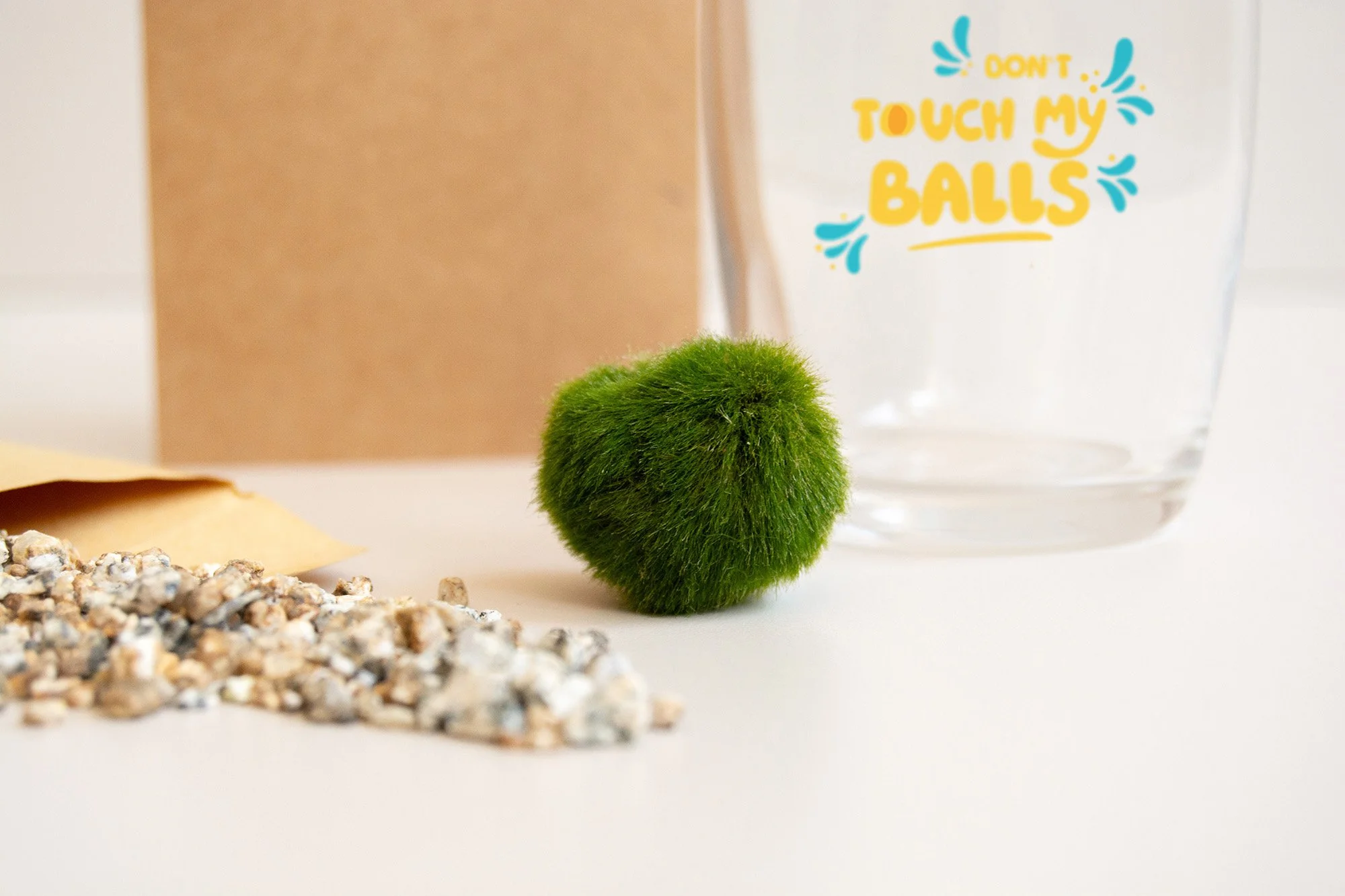 Moss Ball_MP_4_web.jpg