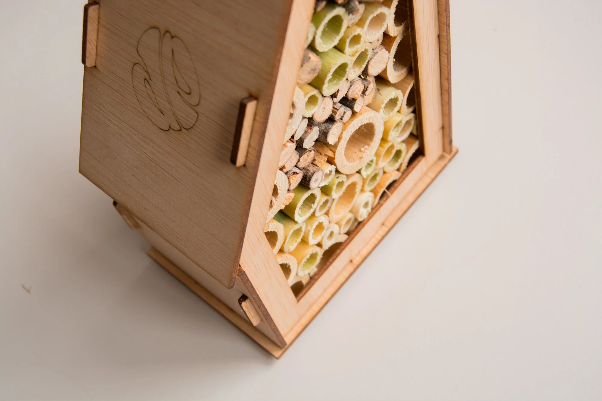 hotel insectos_5.jpg