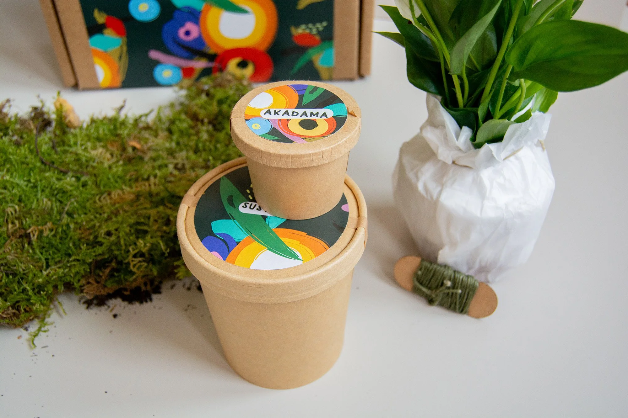 kit kokedama_5_web.jpg