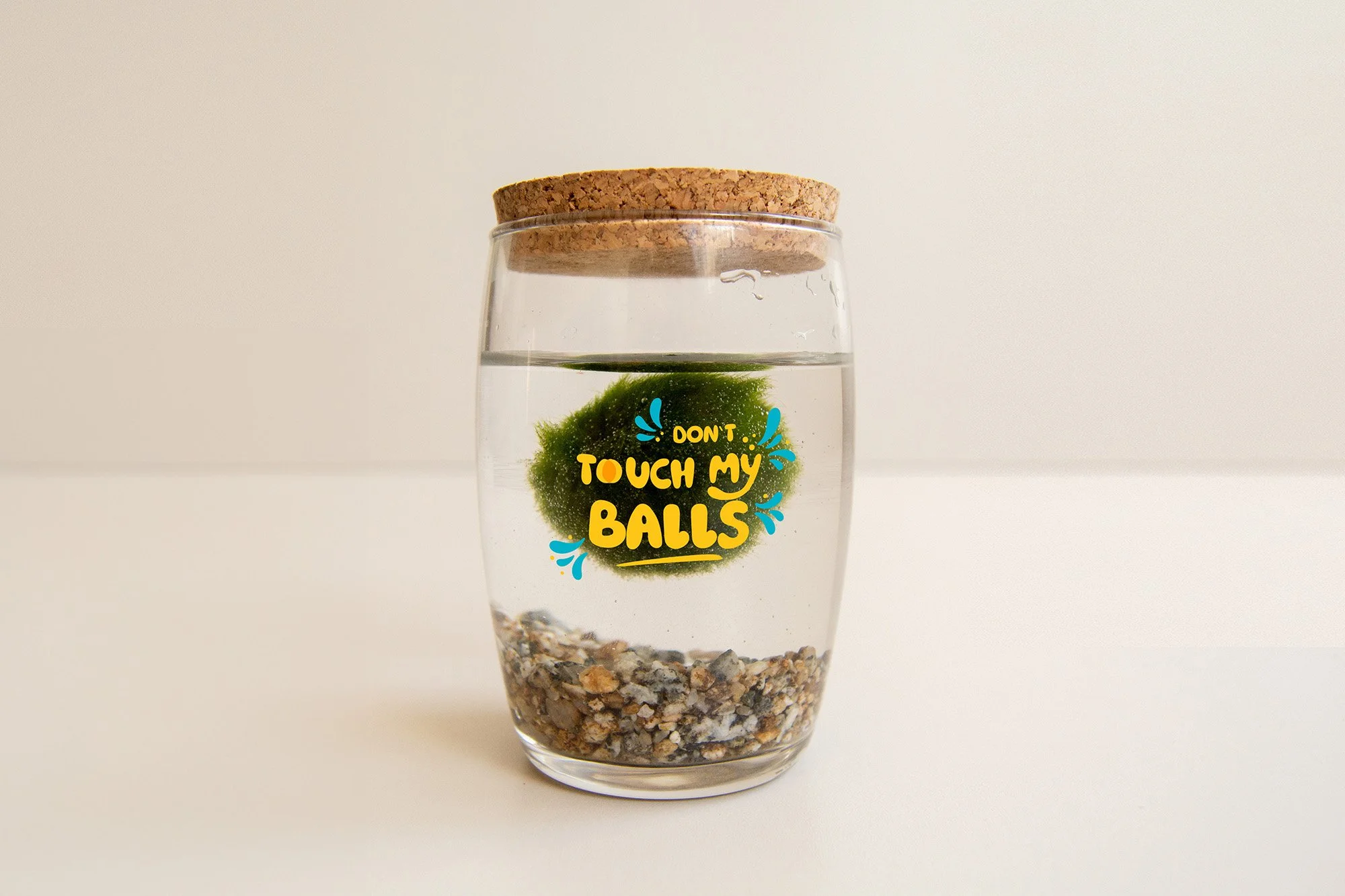 Moss Ball_MP_1_web.jpg