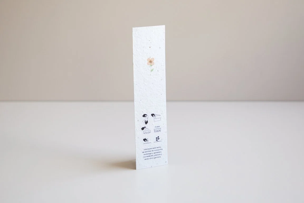 web_punto libro-2.jpg