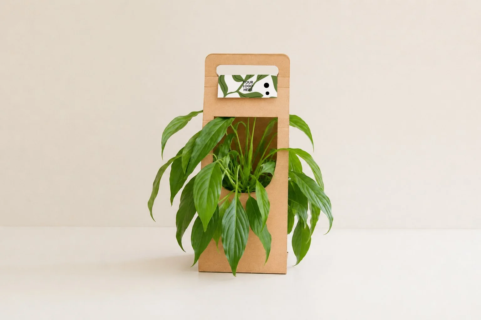Pequeña planta suculenta en maceta transparente con decoración de colores y un logo que dice 'Your Logo Here', sobre fondo neutro.