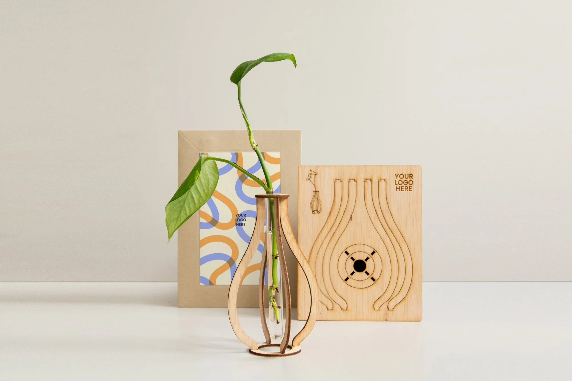 Kit esqueje_YLH_1.jpg