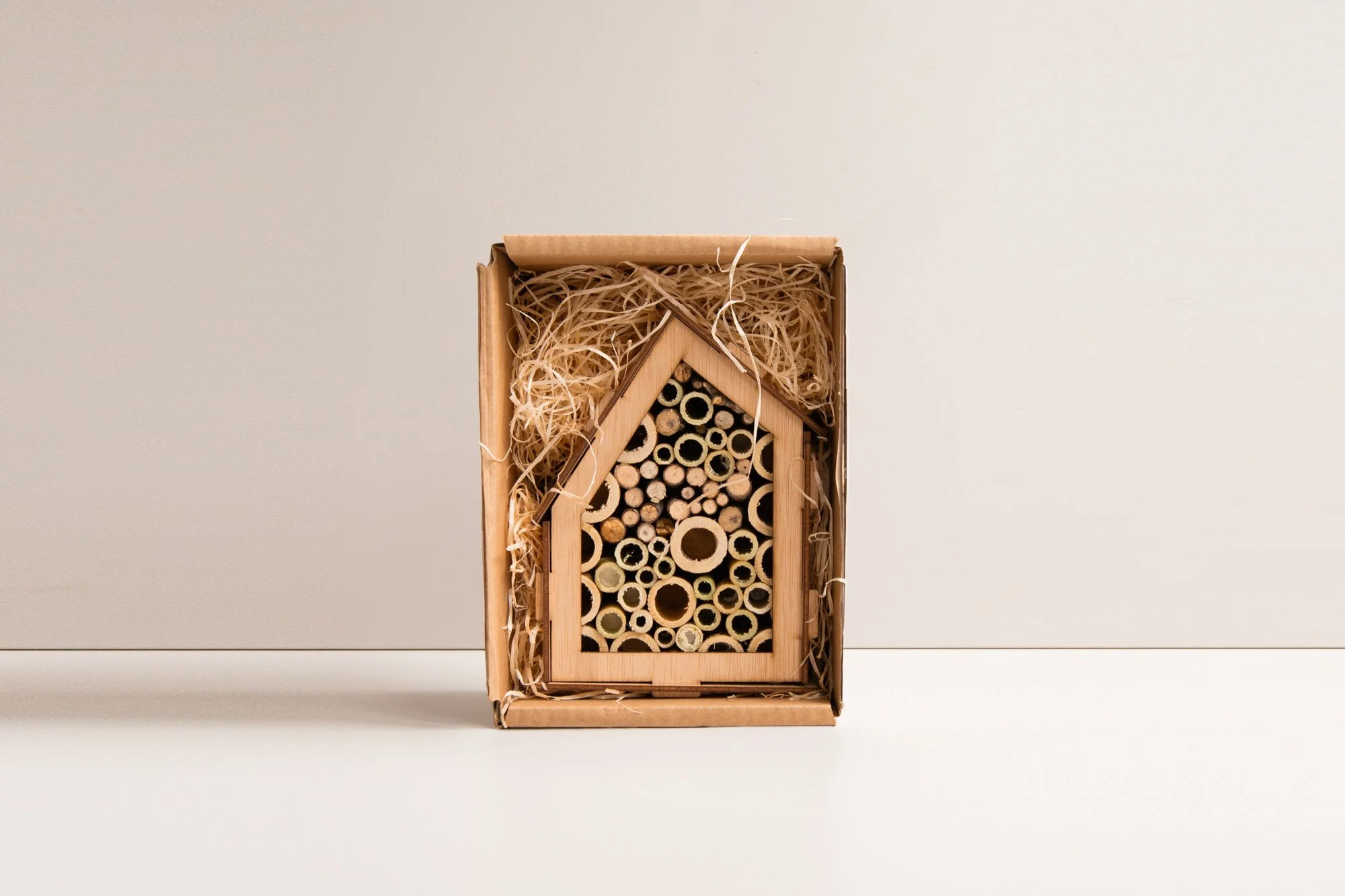 hotel insectos_1.jpg