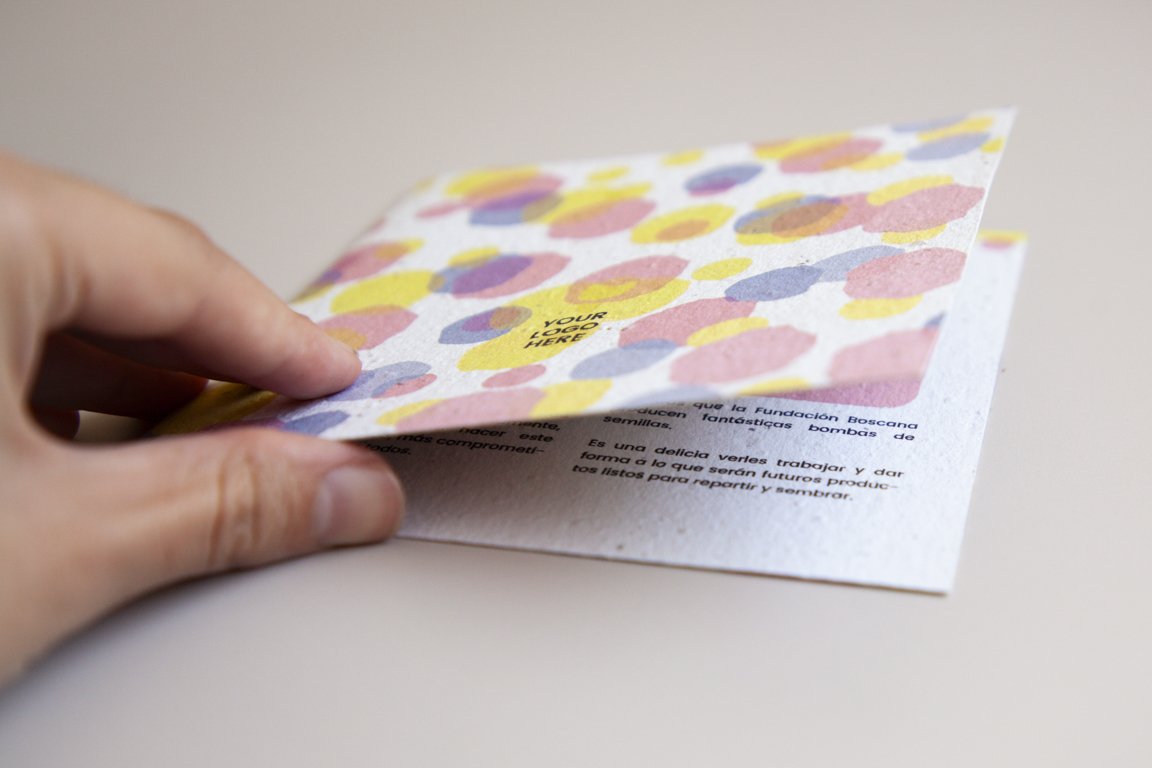 web_diptico cuadrado-5.jpg